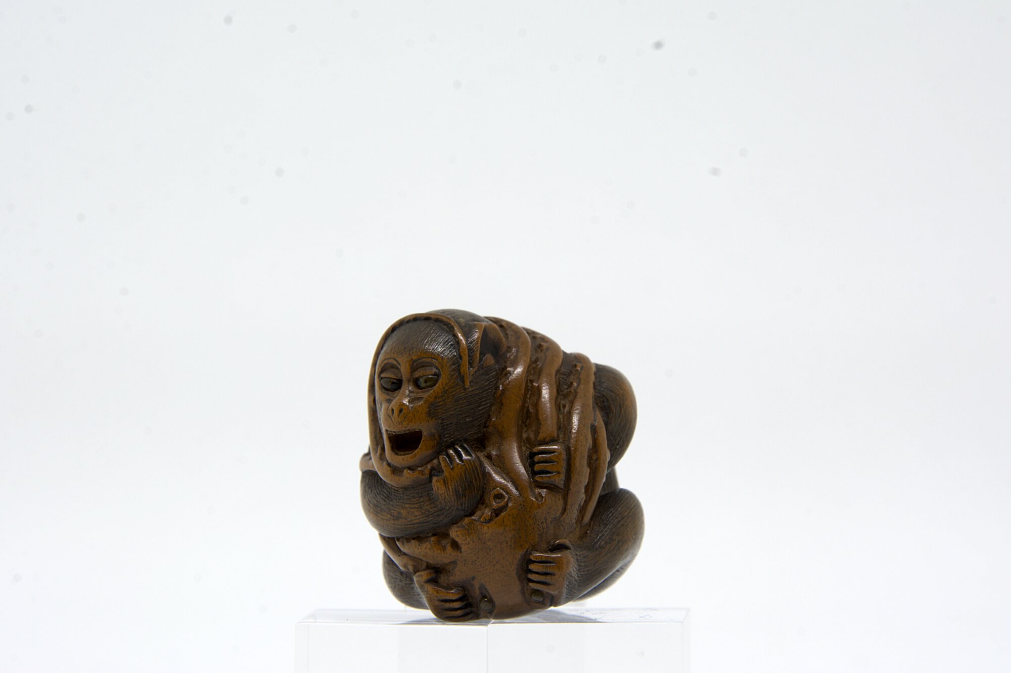 Scimmia e polpo, Scimmia avviluppata da un polpo (scultura) - ambito giapponese (XVIII)