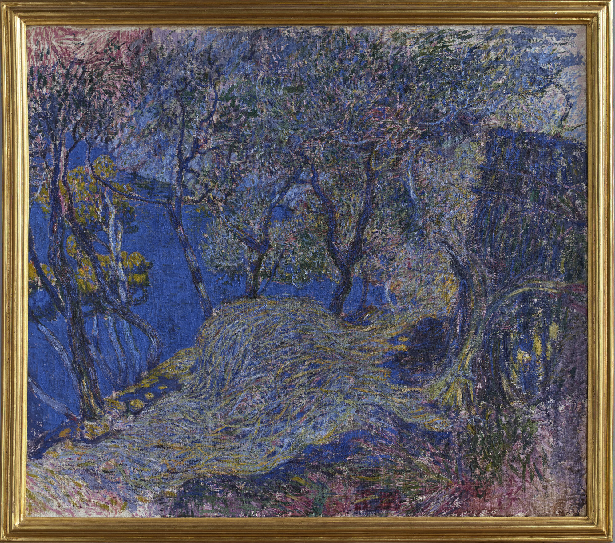 Olivi a San Fruttuoso, oliveto (dipinto) di Merello, Rubaldo (XX)