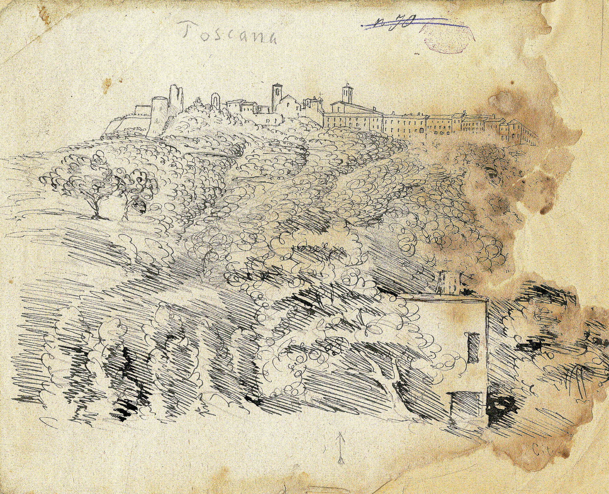 Toscana. Panorama di vigneti, veduta (Schizzo a inchiostro - Schizzo a penna) di Pintore, Eligio Raffaele (XIX)