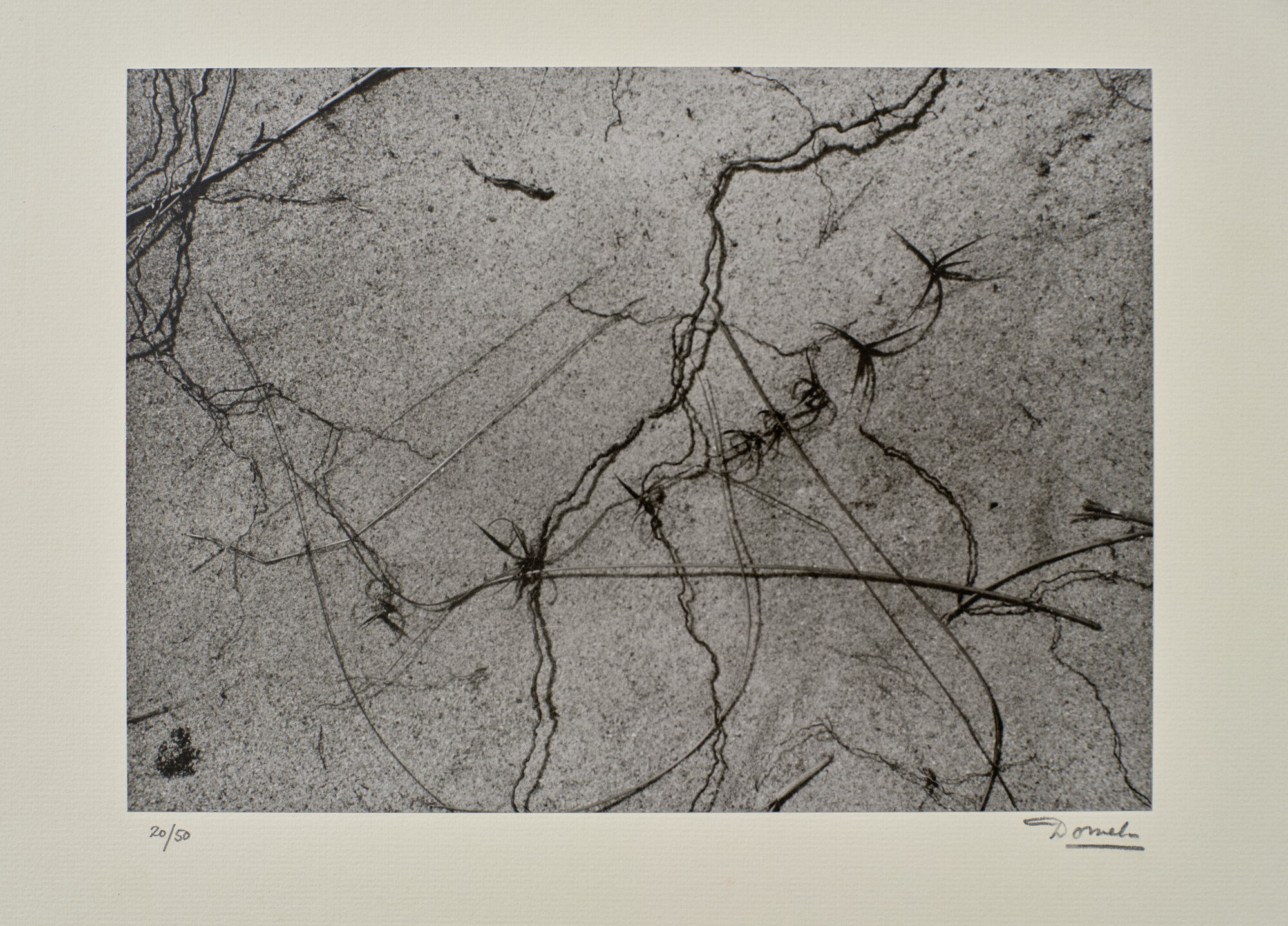 fotografia di Domela, Cesar (XX)