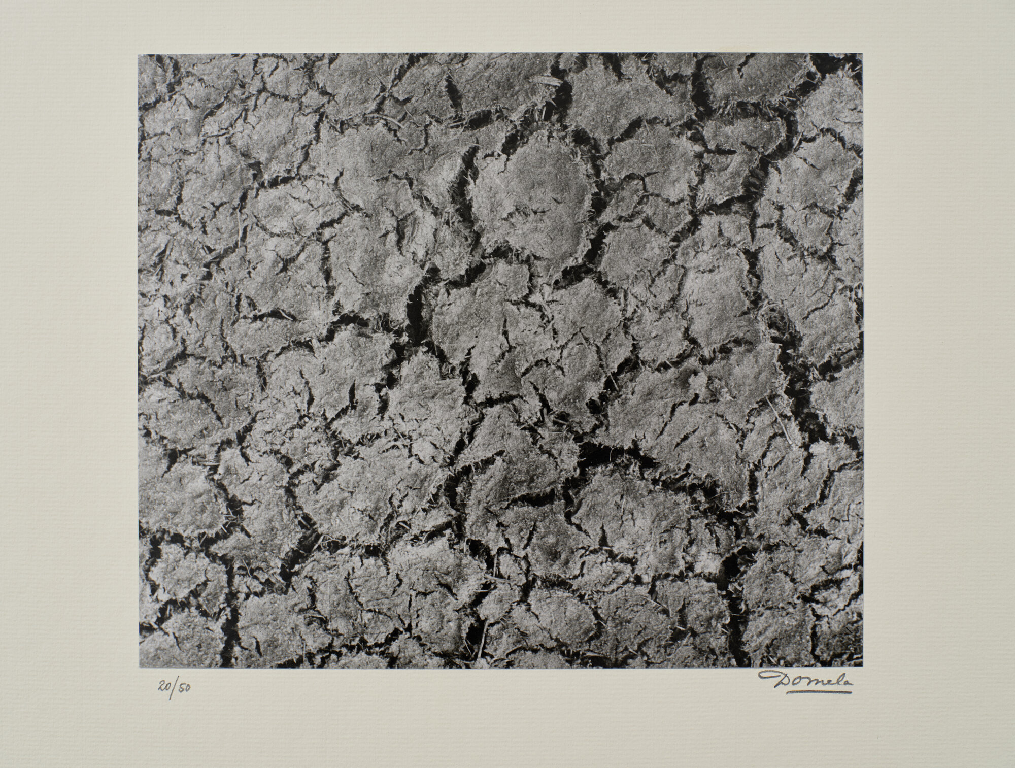 fotografia di Domela, Cesar (XX)