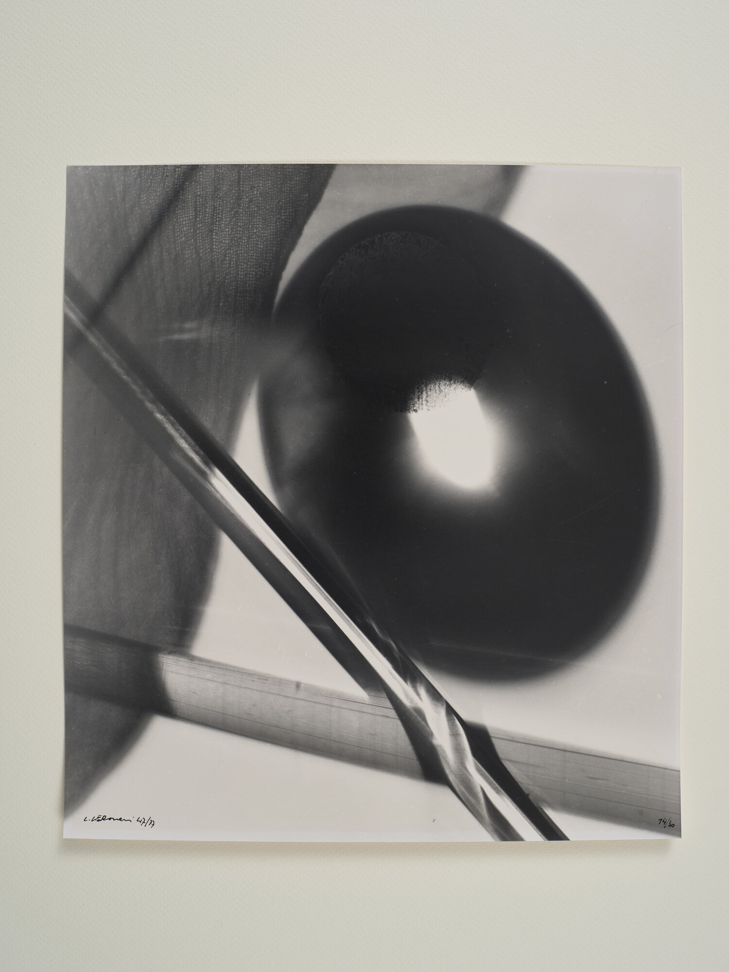 fotogramma di Veronesi, Luigi (XX)