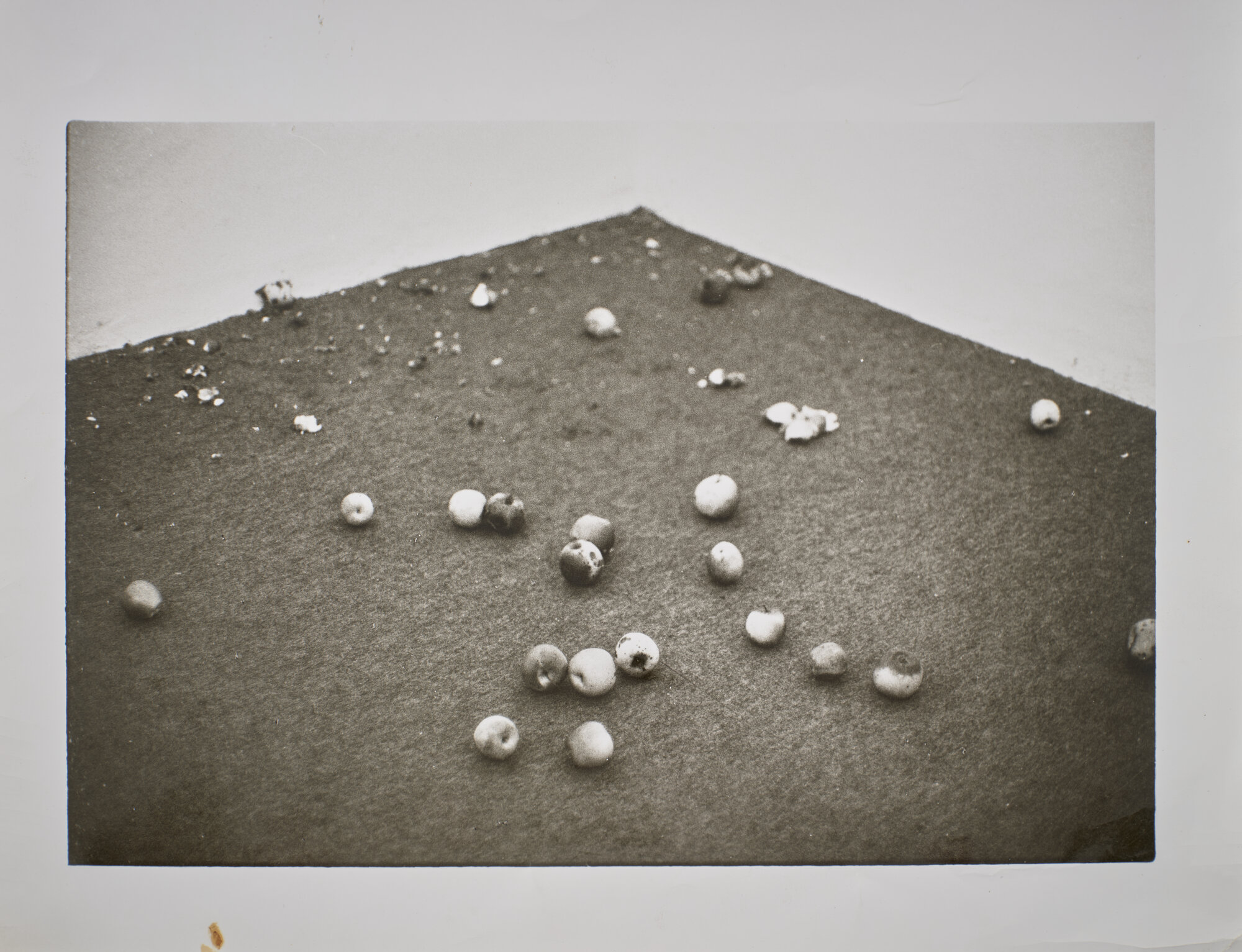 fotografia di Dellepiane, Beppe (XX)