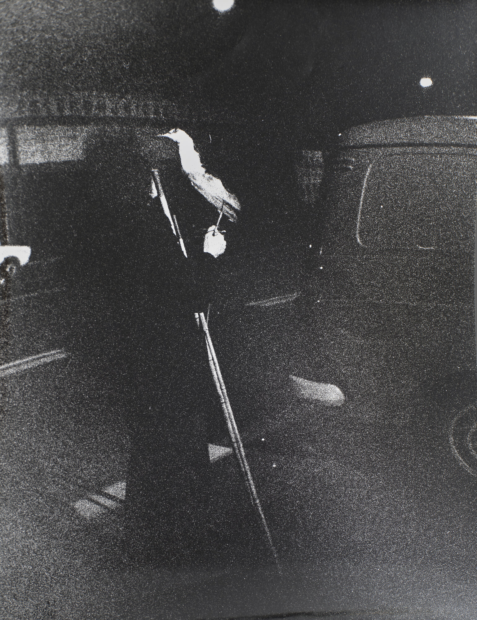 fotografia di Dellepiane, Beppe (XX)