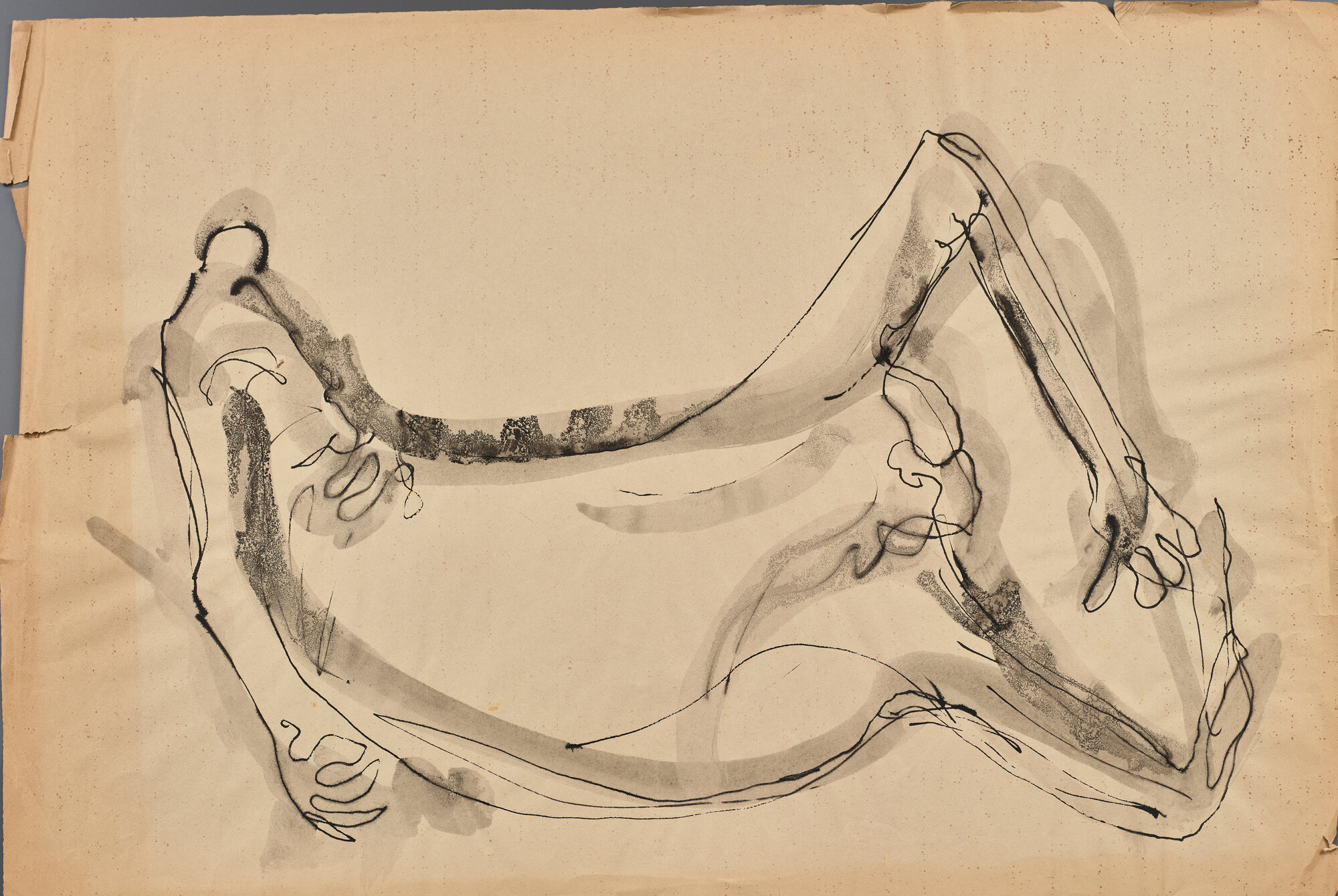 disegno di Carretta, Luisella (XX)