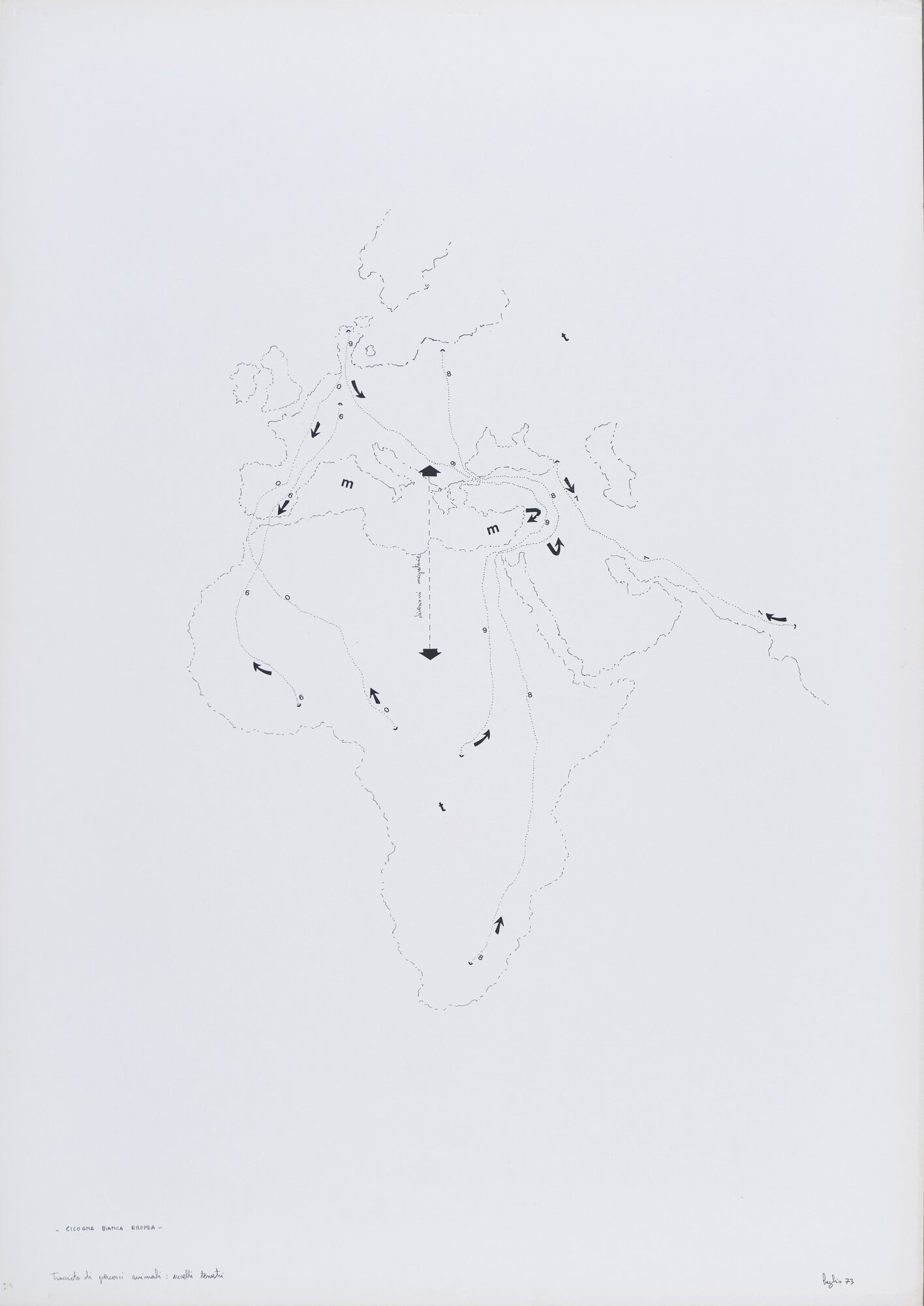 disegno di Carretta, Luisella (XX)