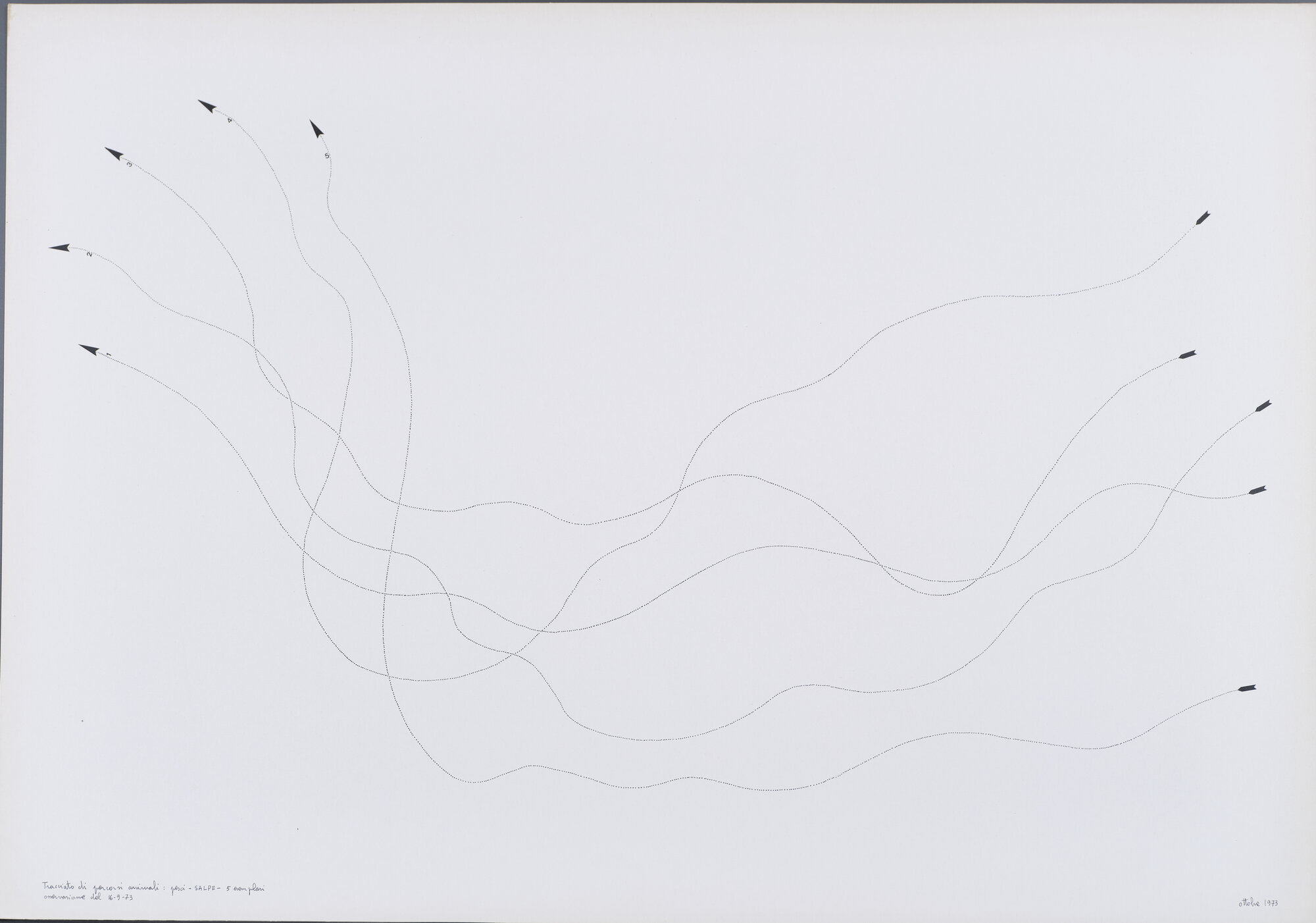 disegno di Carretta, Luisella (XX)