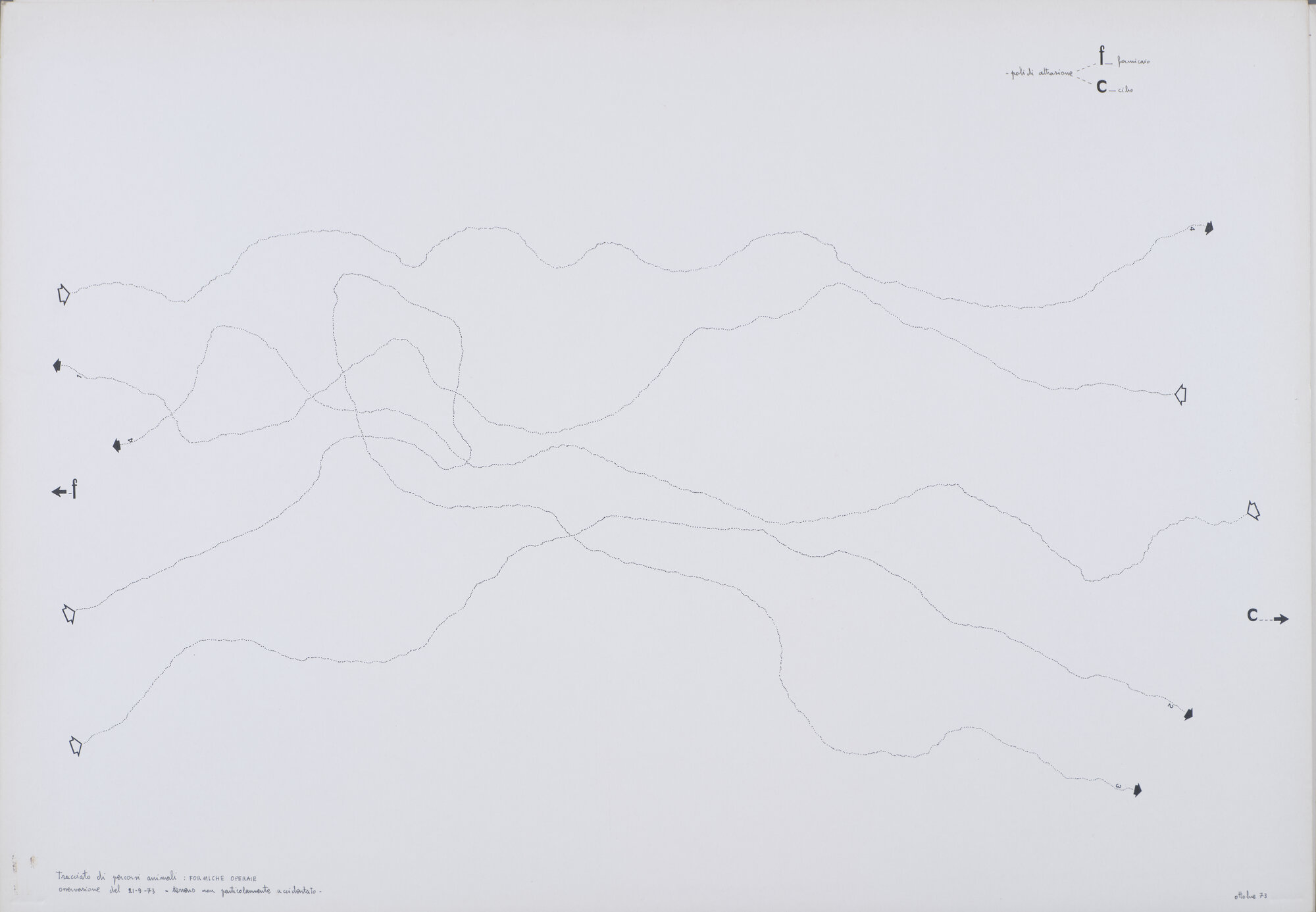 disegno di Carretta, Luisella (XX)