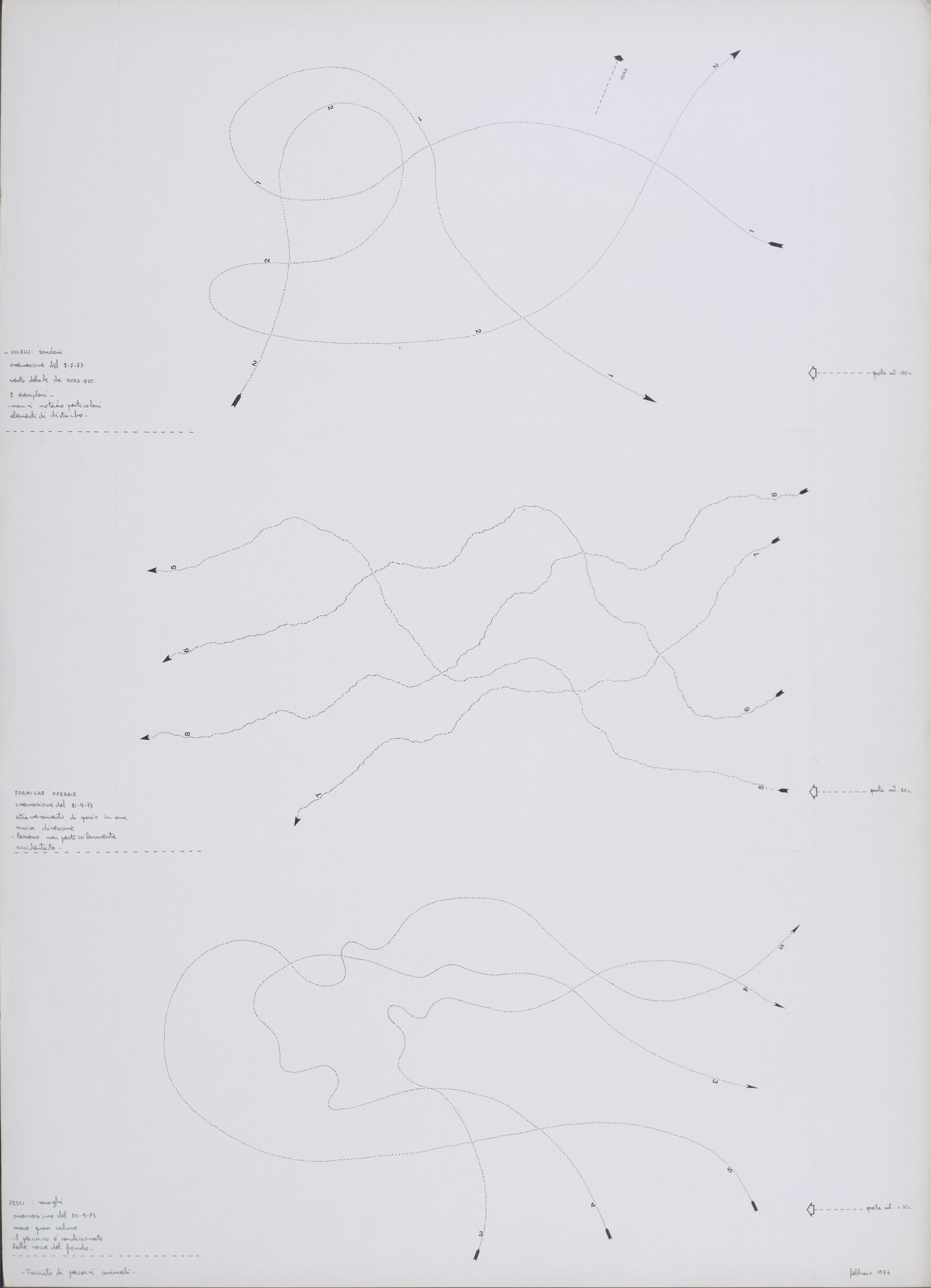 disegno di Carretta, Luisella (XX)