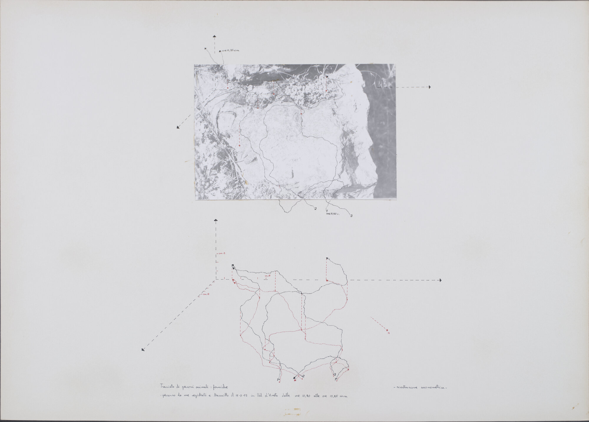 collage di Carretta, Luisella (XX)