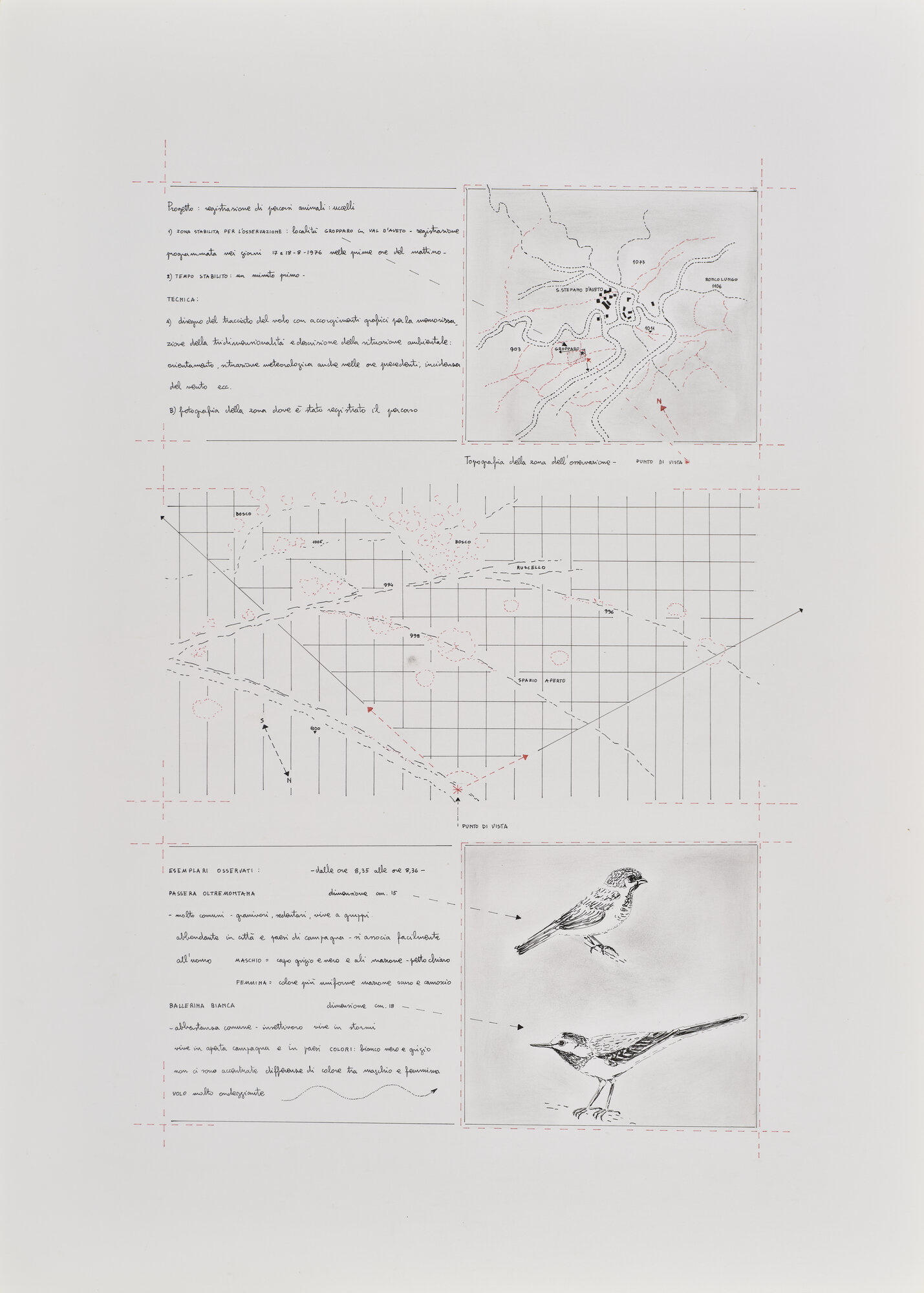 collage di Carretta, Luisella (XX)