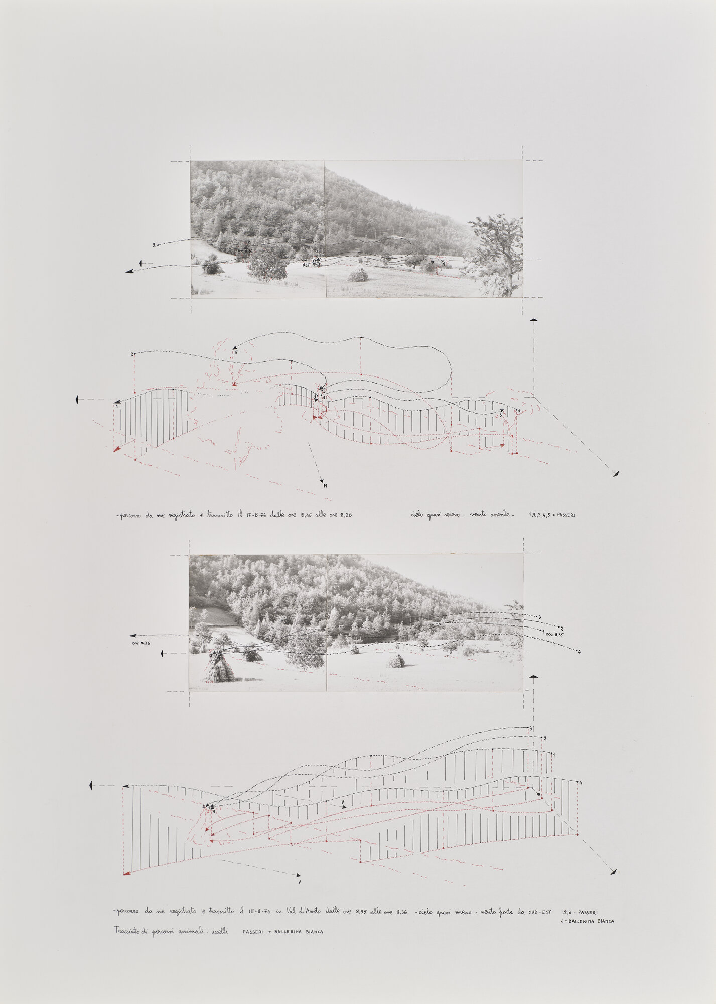 collage di Carretta, Luisella (XX)