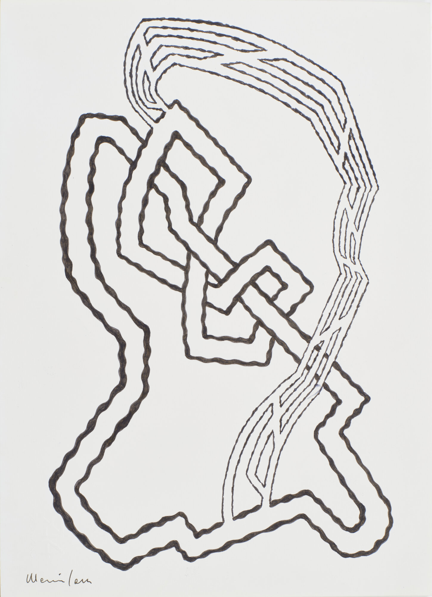 disegno di Mesciulam, Plinio (XX)