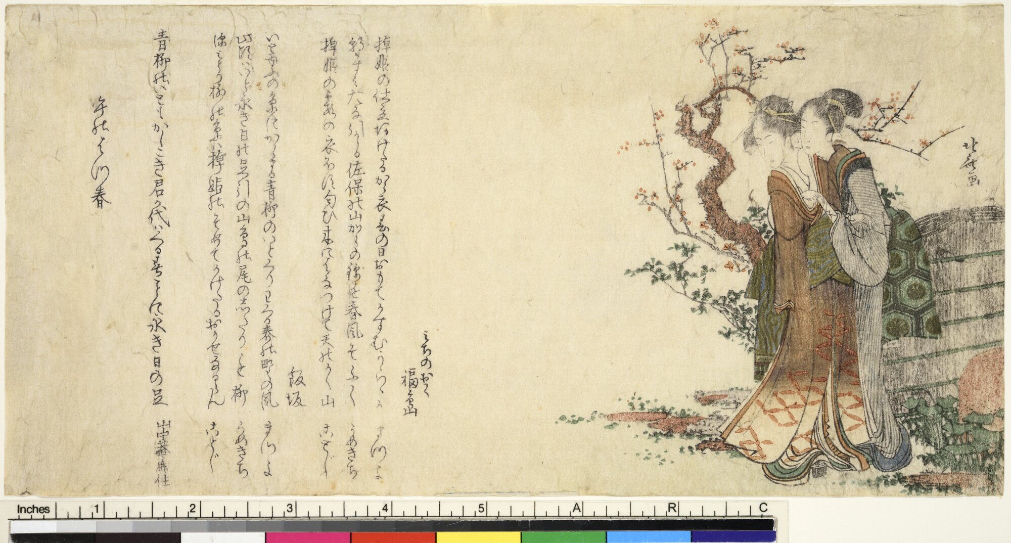 Due donne con susino in fiore, Due donne in prossimità di uno steccato con alle spalle un albero di susino fiorito (Surimono, koban) di Katsushika, Hokusai (XVIII)