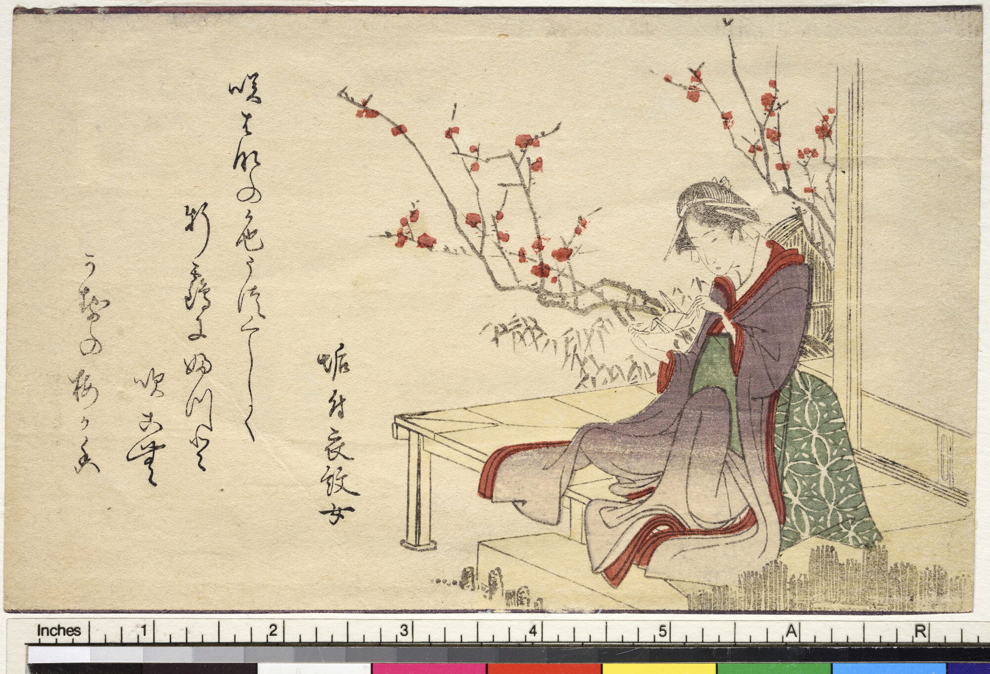 Giovane donna con origami a forma di gru, Donna con origami a forma di gru (Surimono, koban) di Katsushika, Hokusai (XVIII-XIX)