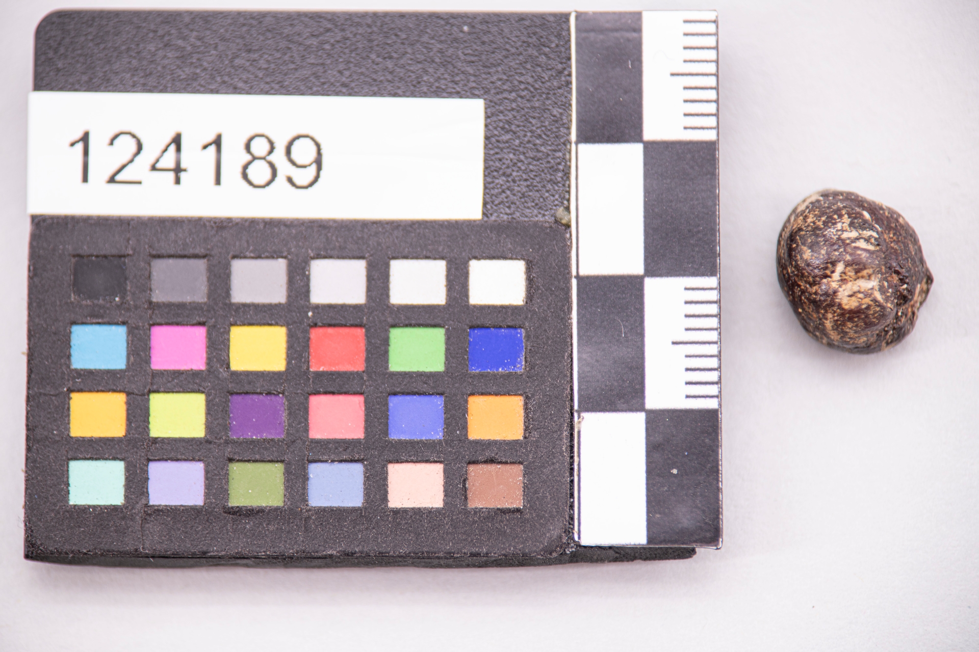 GIOIELLI E MONILI/ vago (sec. VII a.C)