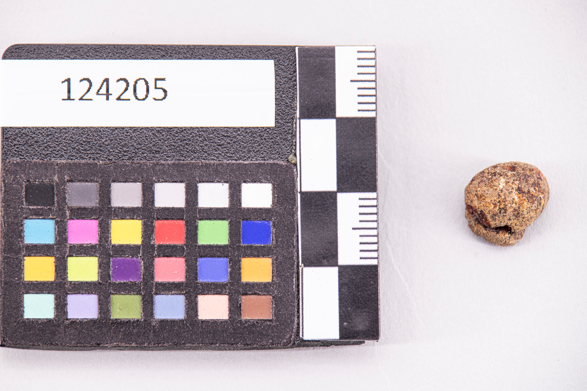 GIOIELLI E MONILI/ vago (sec. VII a.C)