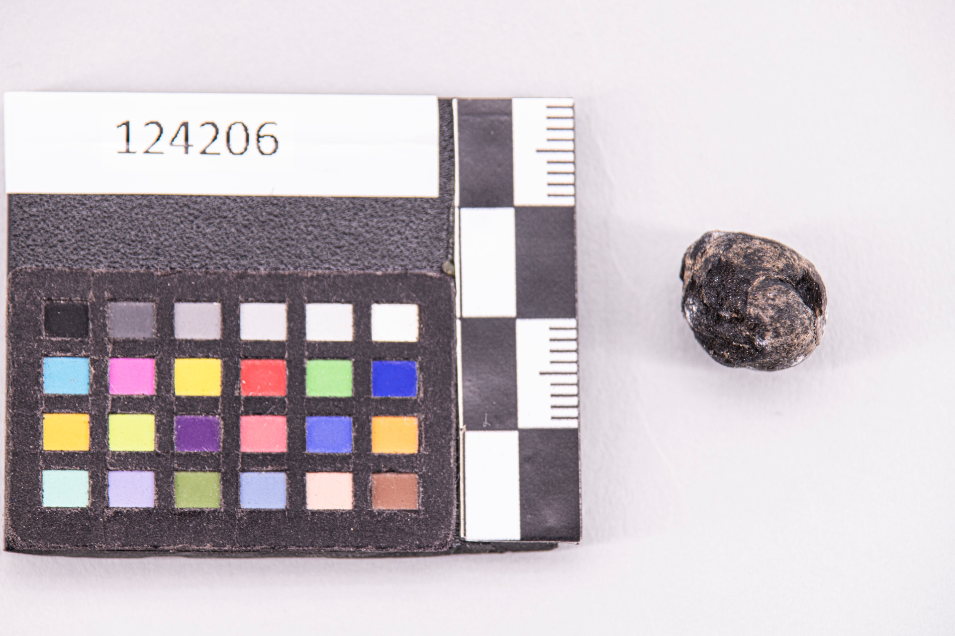 GIOIELLI E MONILI/ perla a occhi (sec. VII a.C)