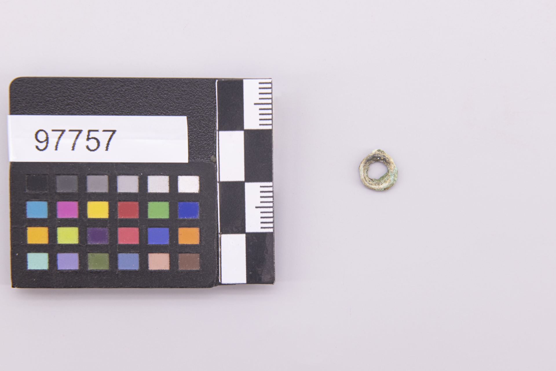 anello - ampiamente diffuso (sec. VI a.C)