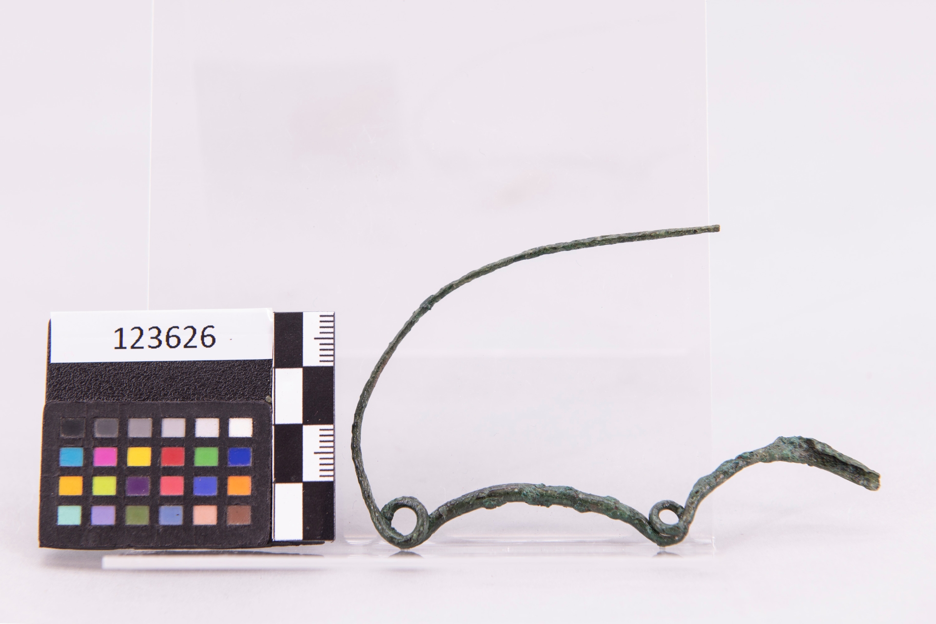 fibula/ ad arco serpeggiante (prima metà sec. VIII a.C)