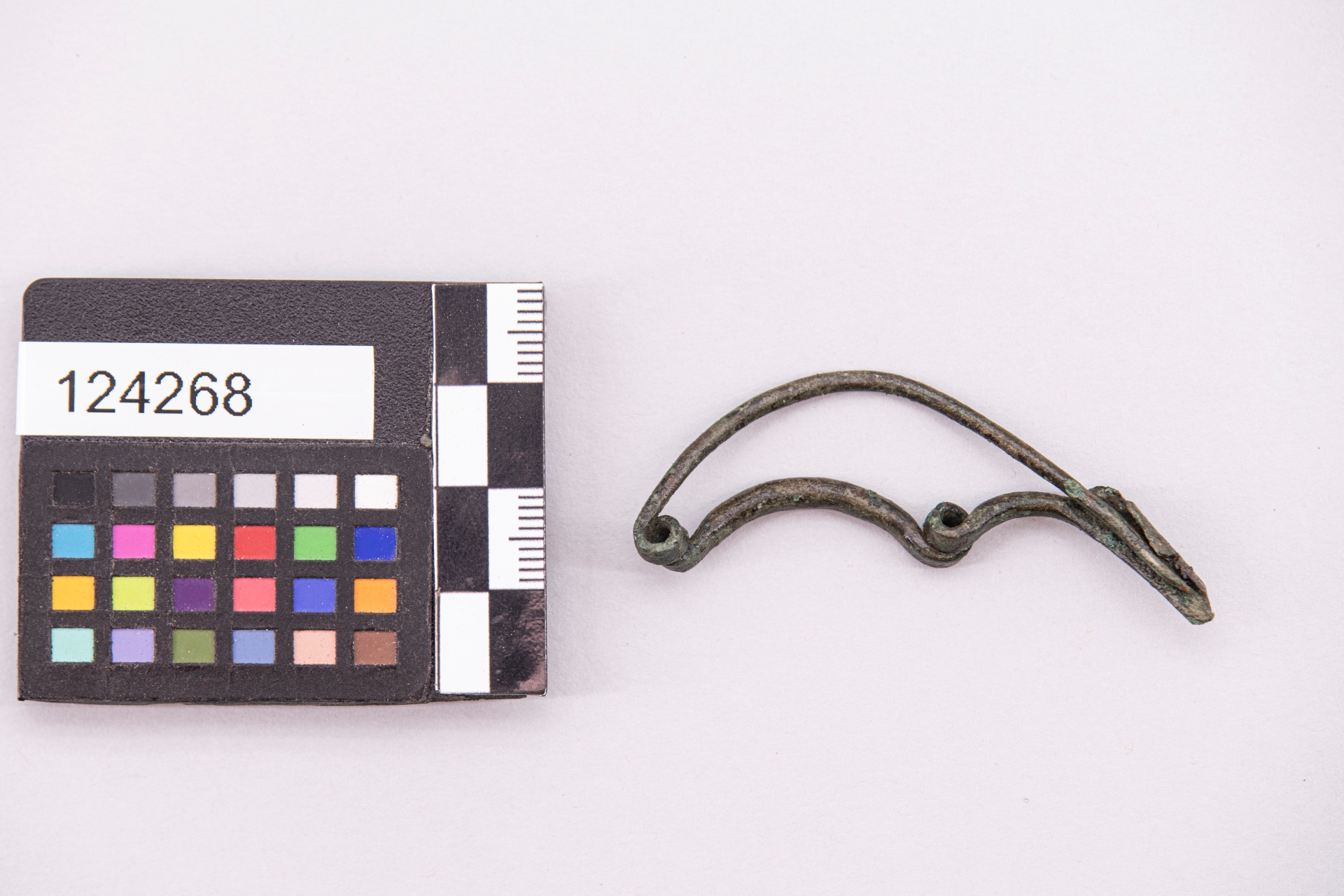 fibula/ ad arco serpeggiante - Italia Meridionale - Etruria (prima metà sec. VII a.C)