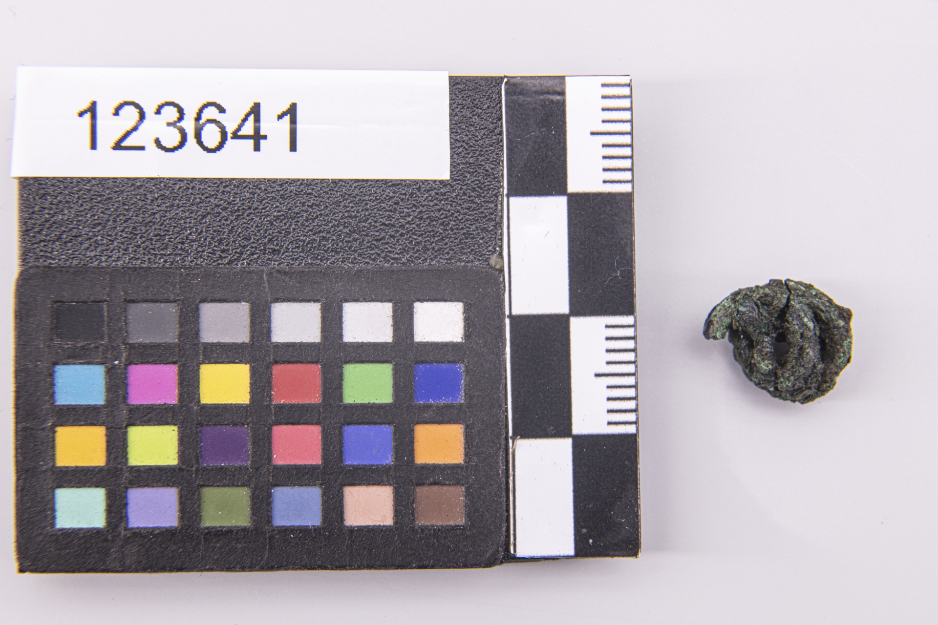 anello - ampiamente diffuso (sec. VII a.C)