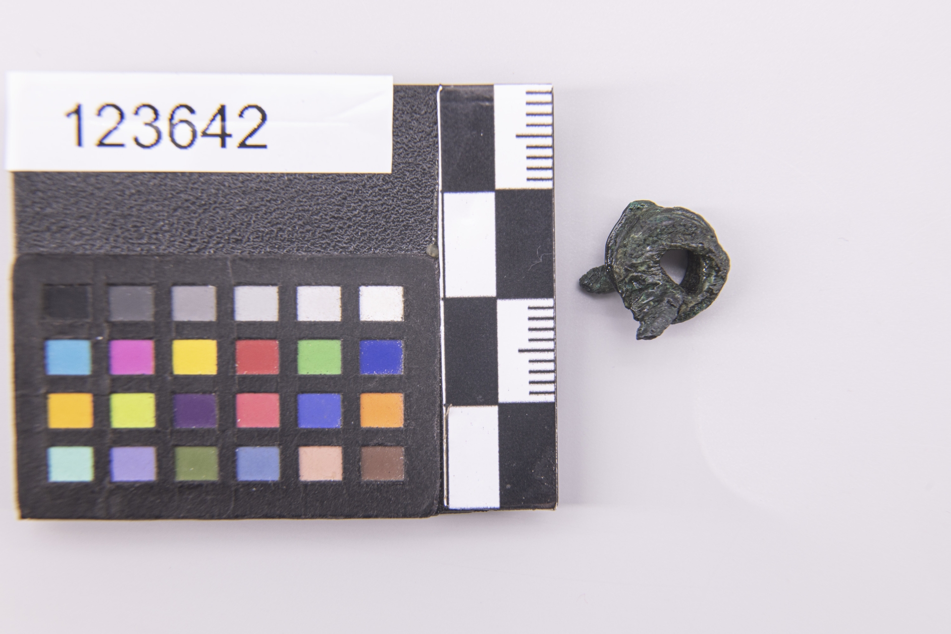 anello - ampiamente diffuso (sec. VII a.C)