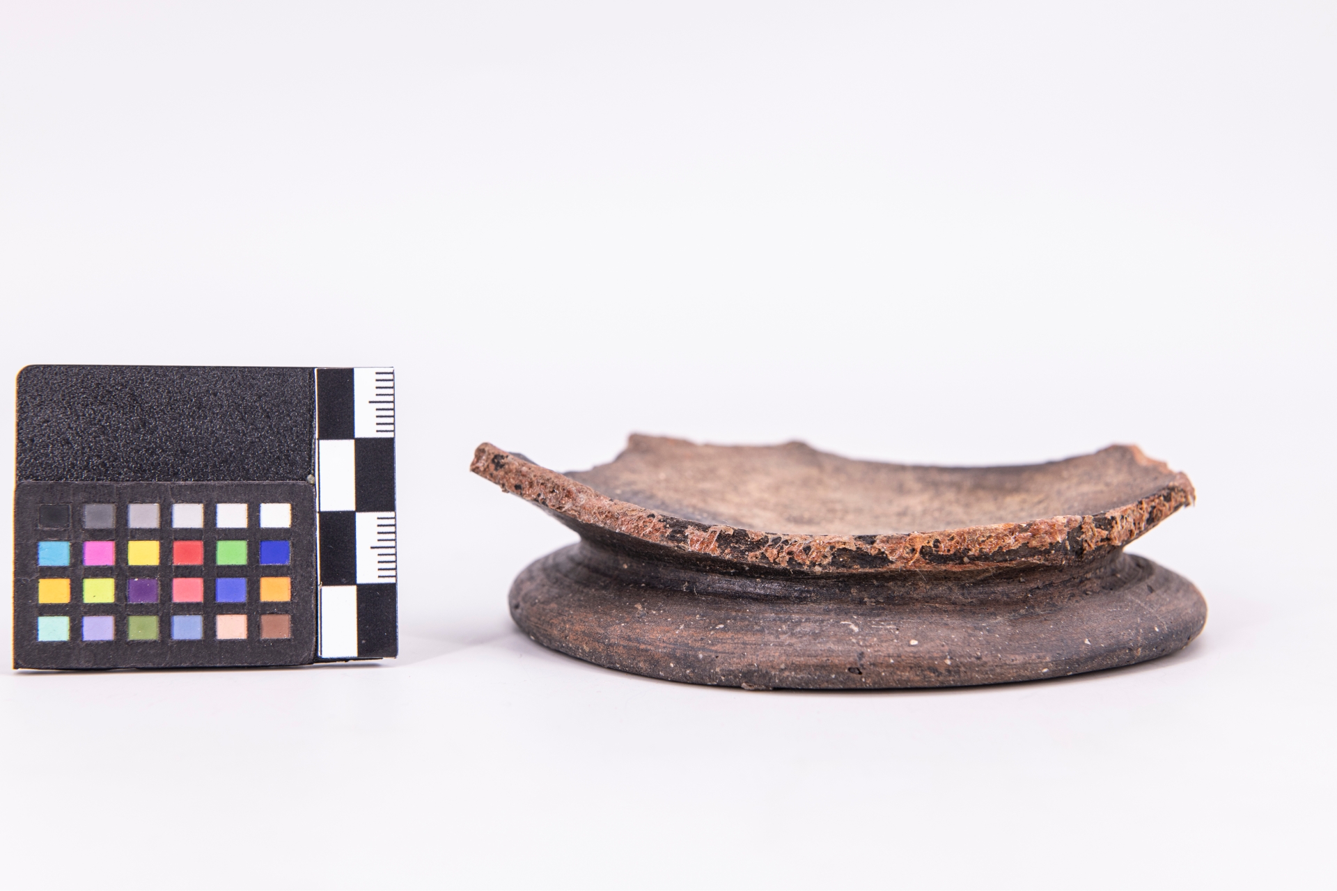 oinochoe a bocca trilobata - Etrusco-Campano (sec. VI a.C)