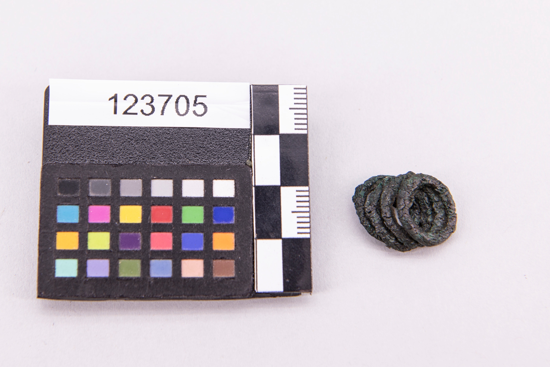 anello - ampiamente diffuso (sec. VII a.C)