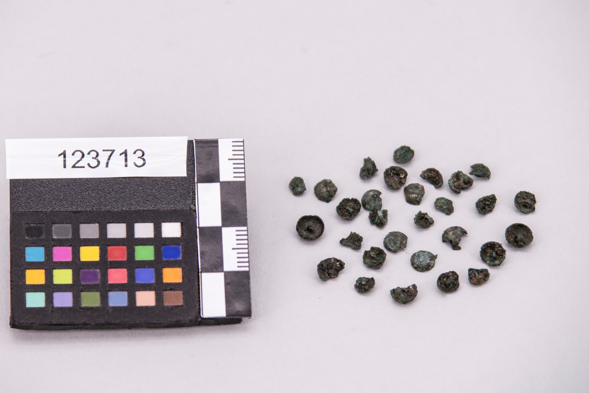 borchia - ampiamente diffuso (sec. VII a.C)