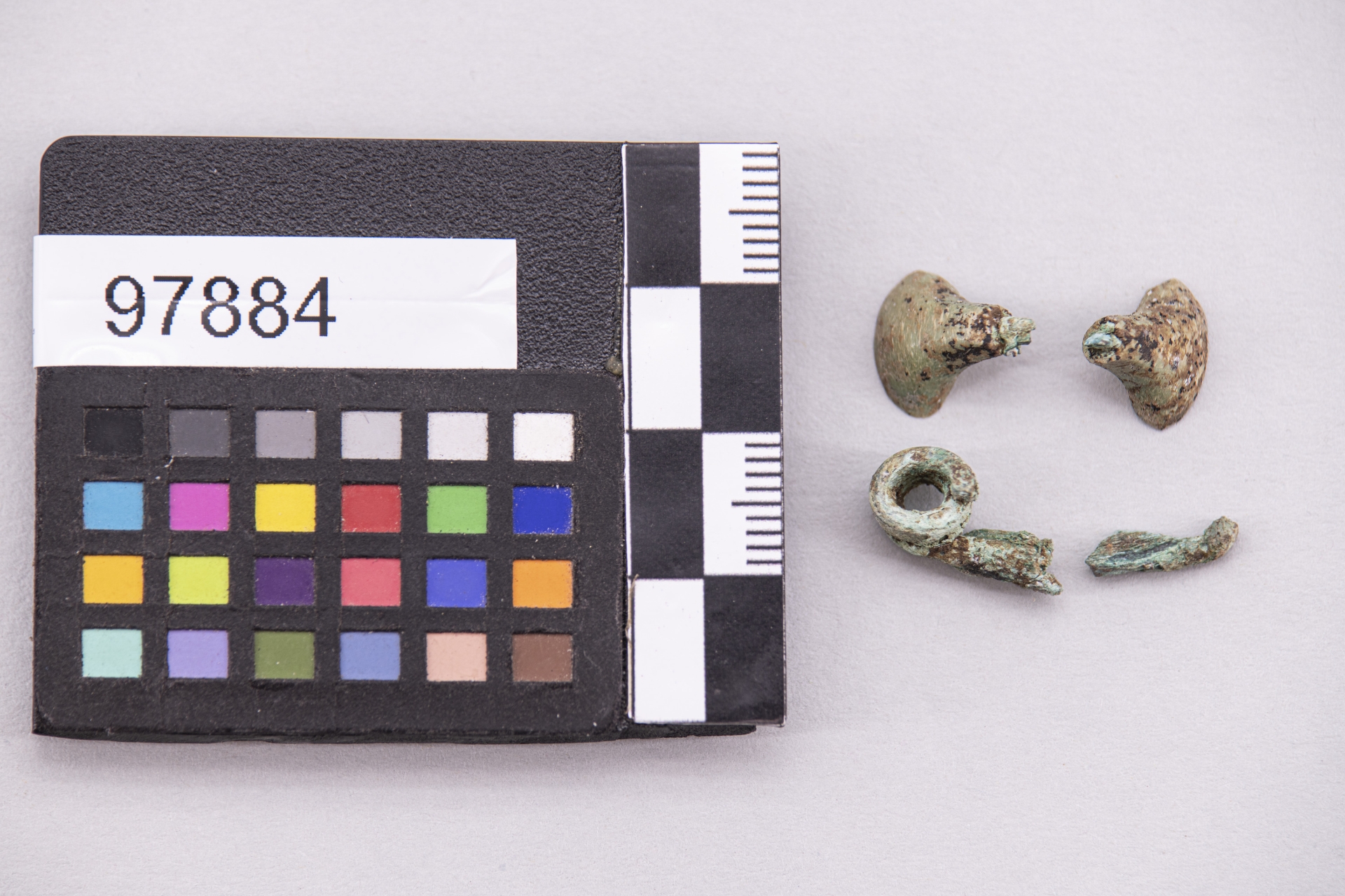 fibula ad arco rivestito - etrusco (sec. VI a.C)