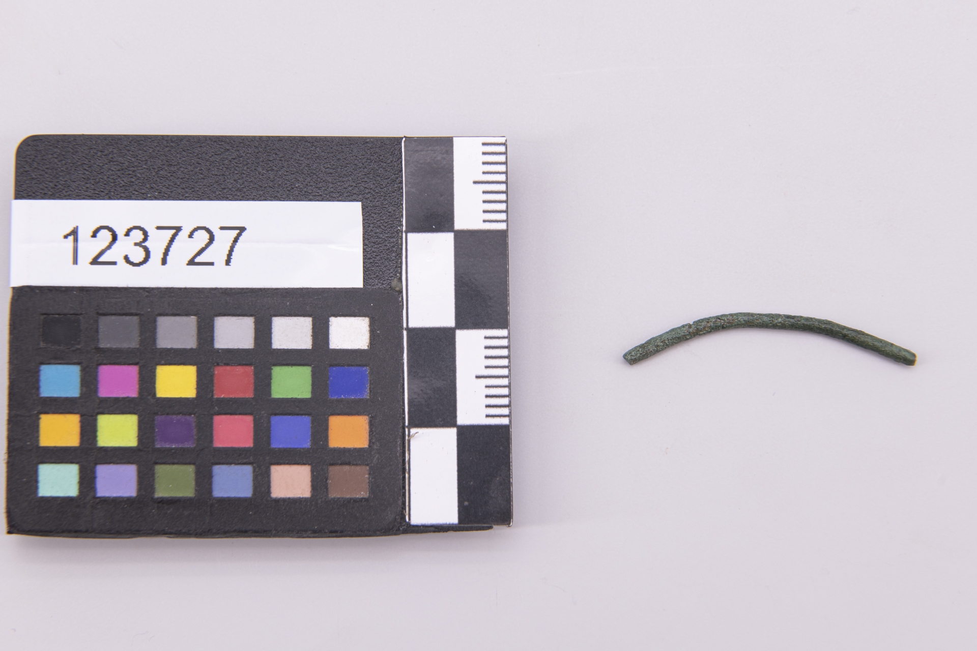 ACCESSORI/ ardiglione (sec. VII a.C)