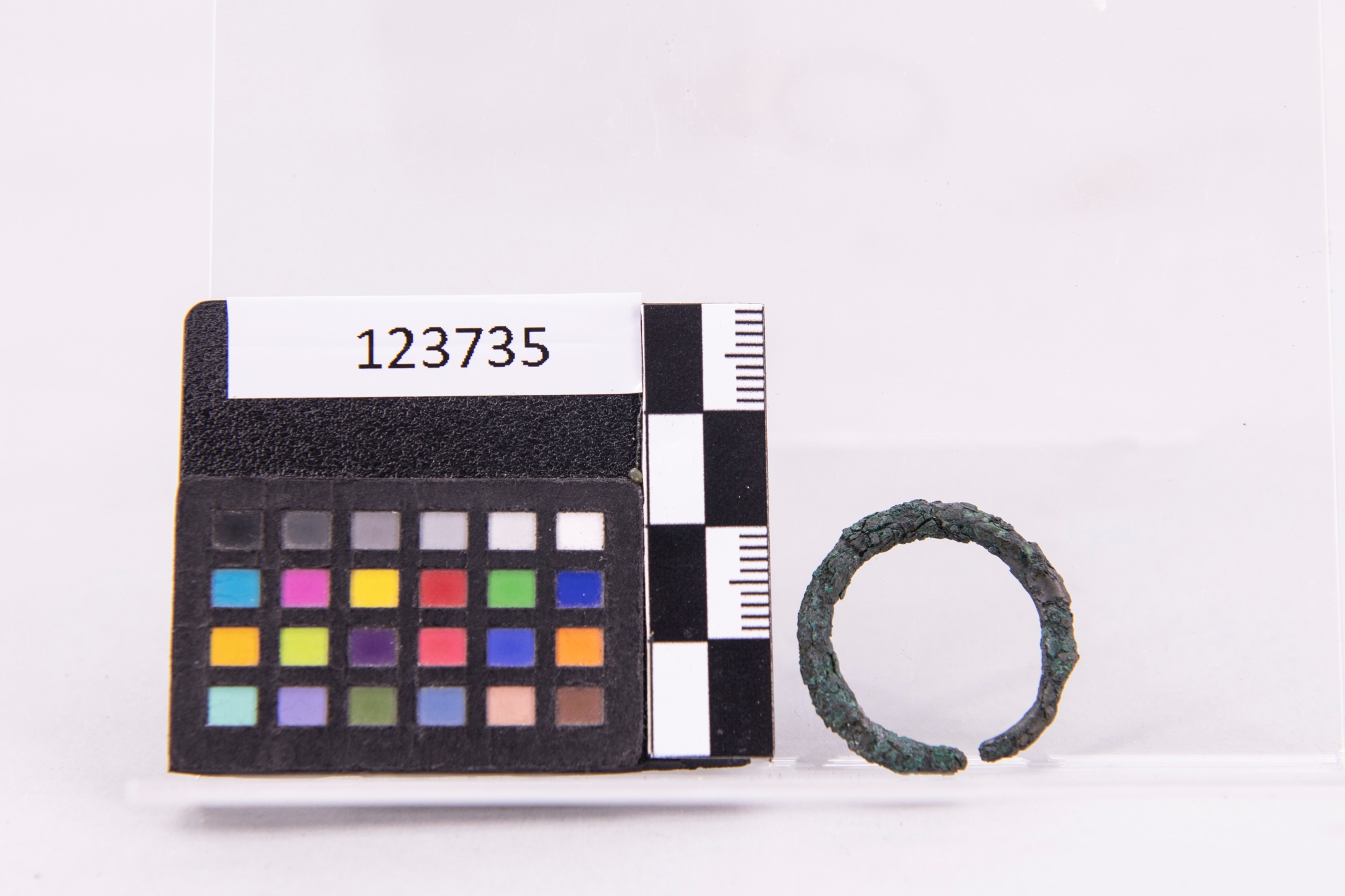 anello - ampiamente diffuso (sec. VII a.C)