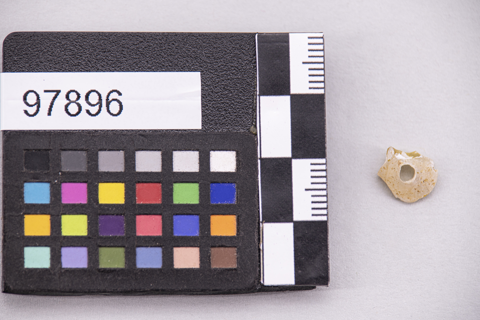 GIOIELLI E MONILI/ vago (sec. VI a.C)