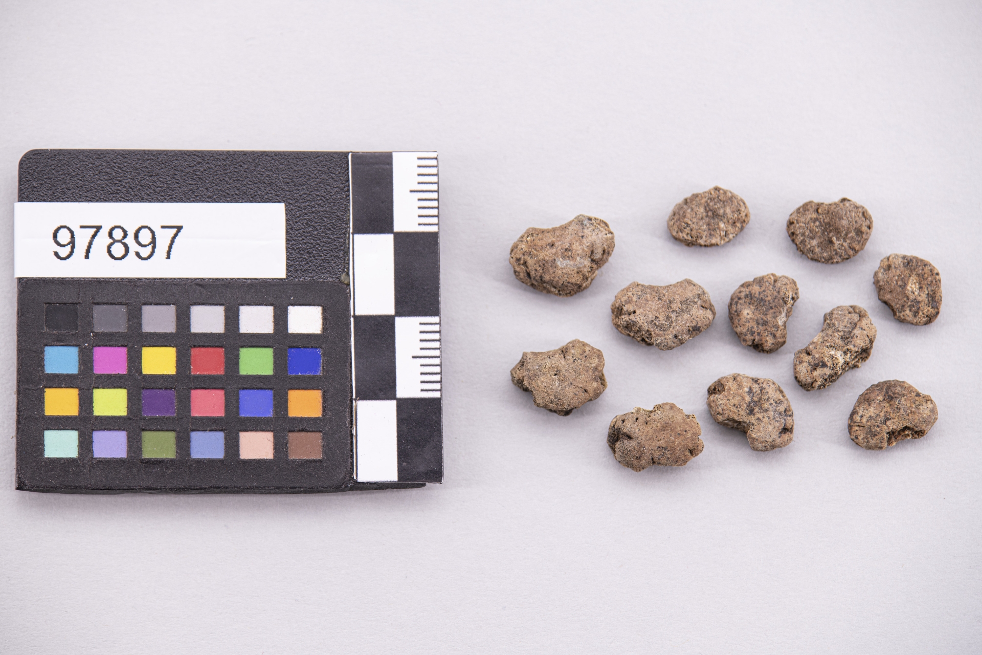 astragalo (sec. VI a.C)