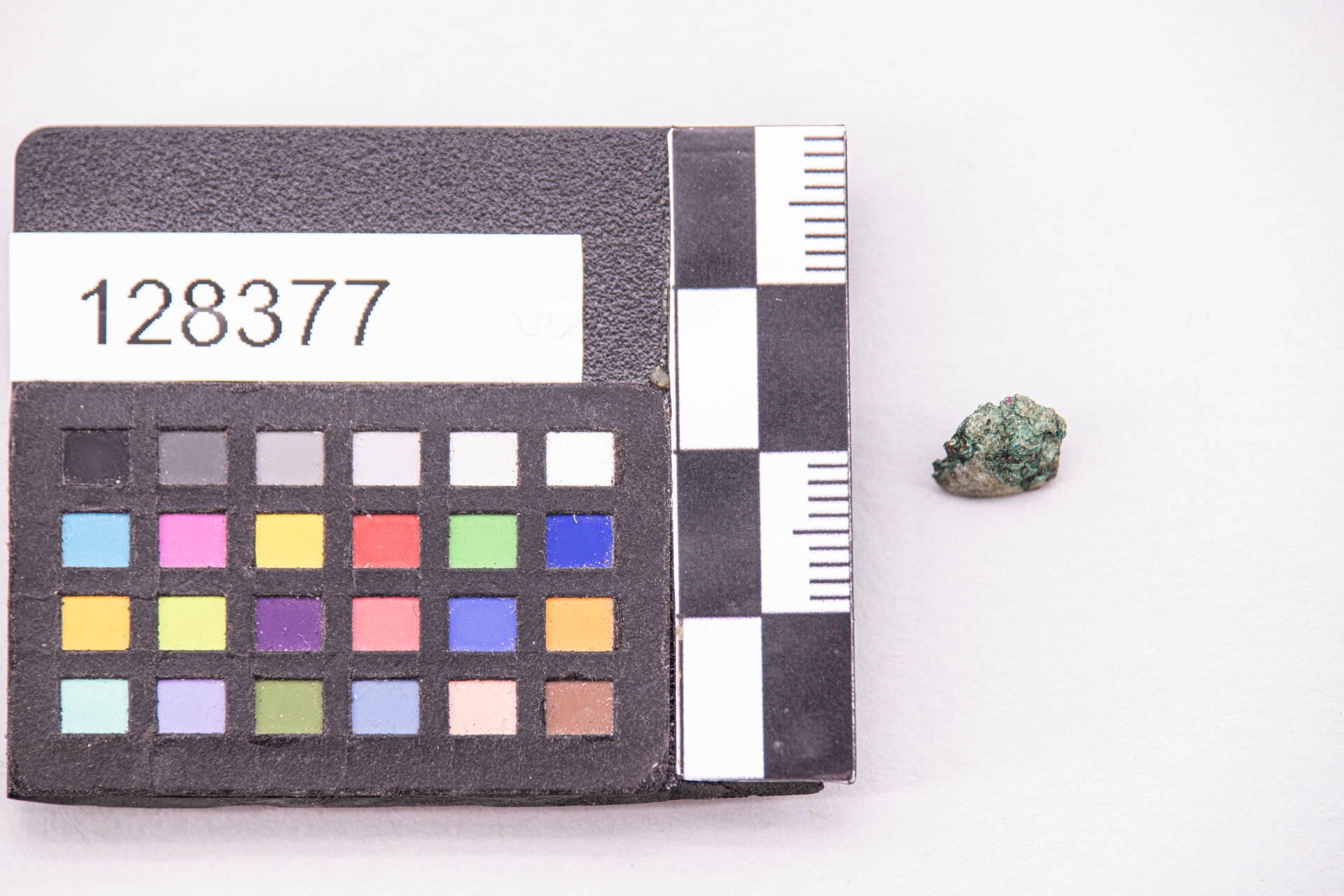 borchia (sec. VII a.C)