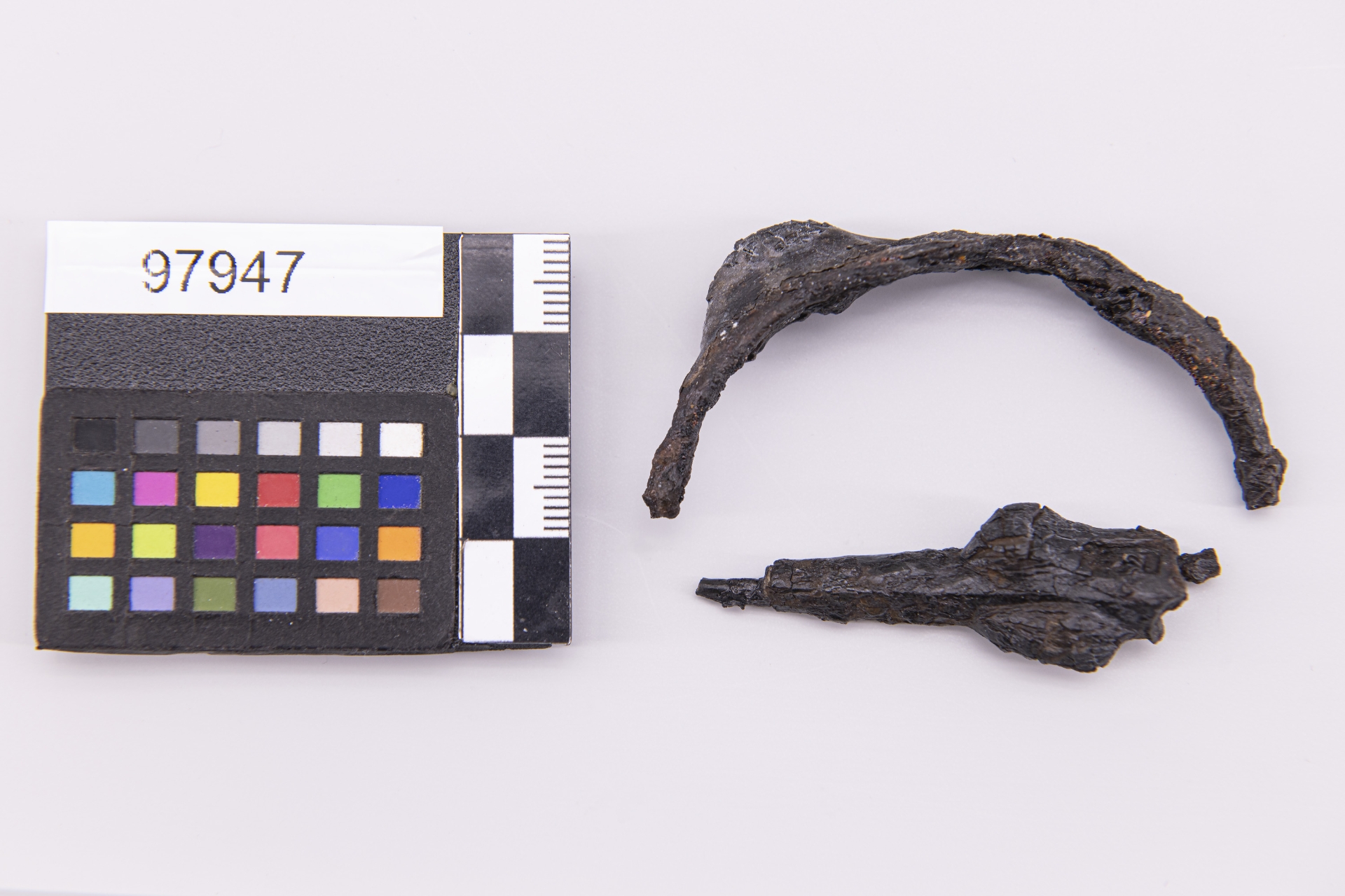 fibula/ a navicella - Etrusco-Campano (sec. VI a.C)