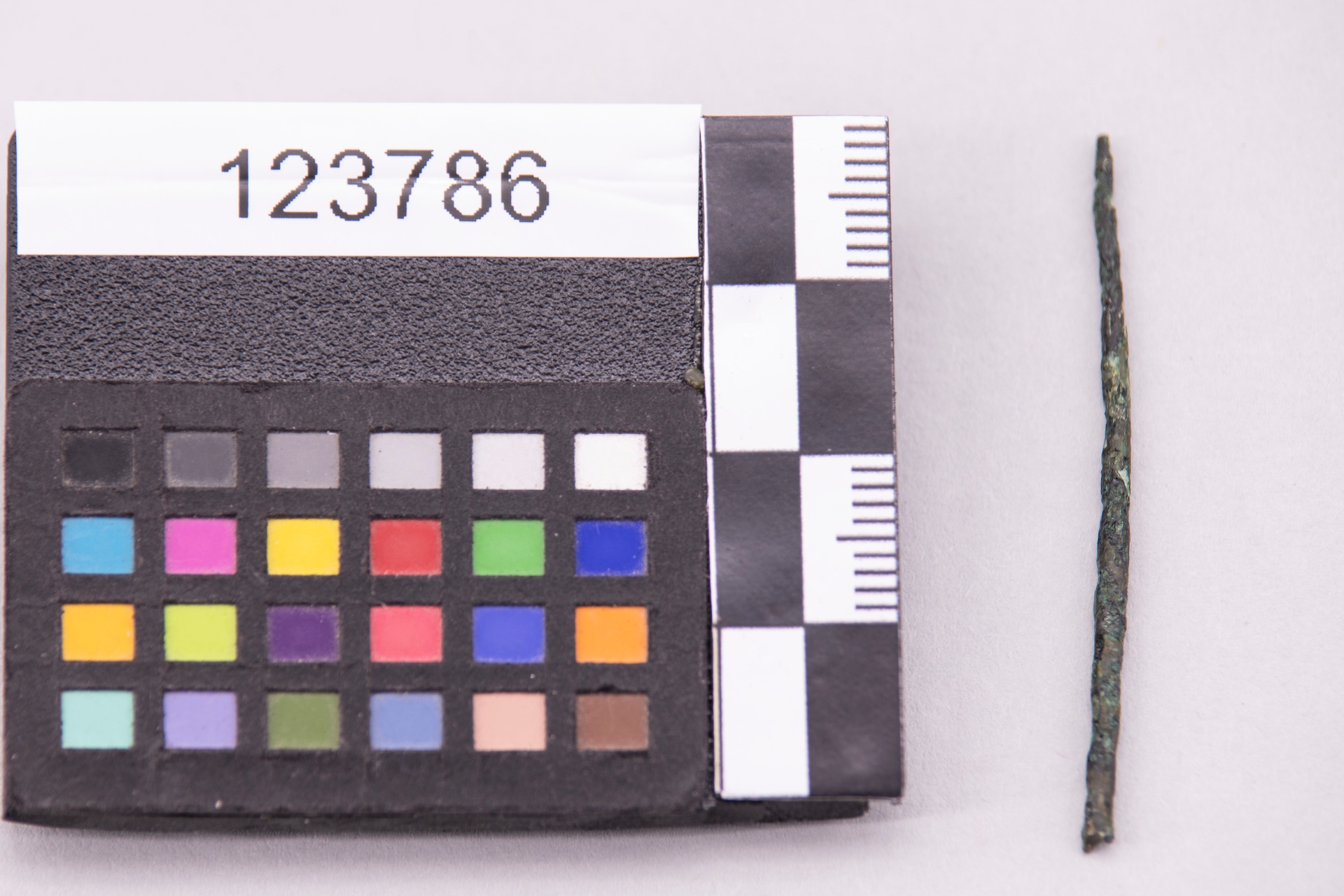 ACCESSORI/ ardiglione (sec. VII a.C)