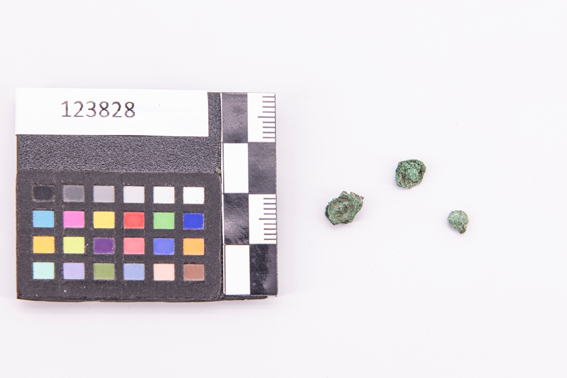 borchia - ampiamente diffuso (sec. VII a.C)