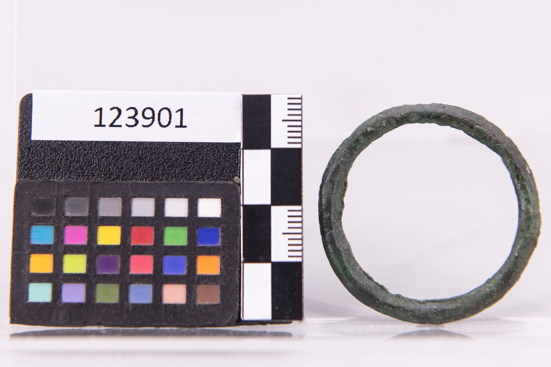 anello - ampiamente diffuso (sec. VII a.C)