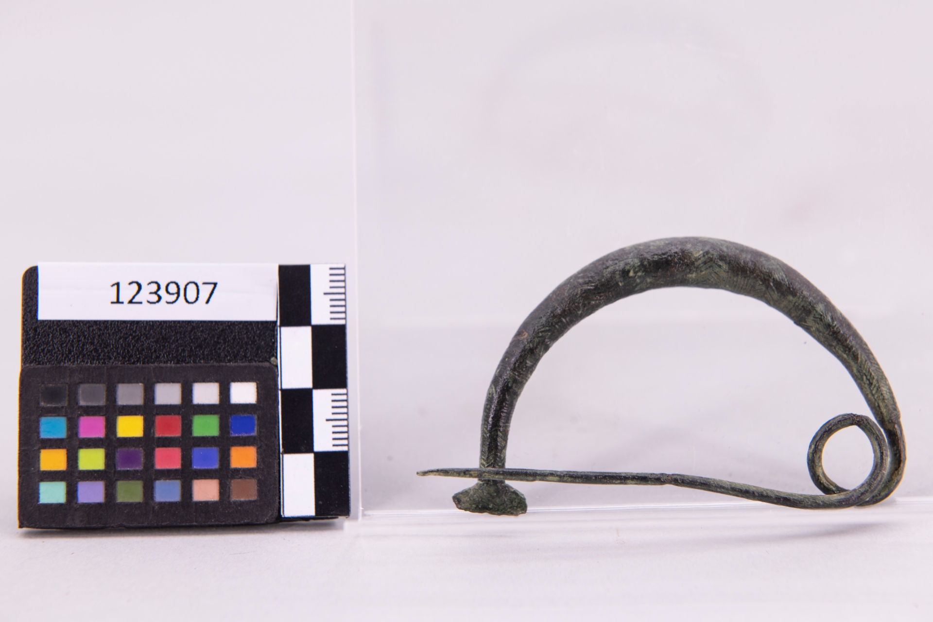 fibula/ ad arco ingrossato - fase Pontecagnano IB-II (terzo quarto sec. VII a.C)