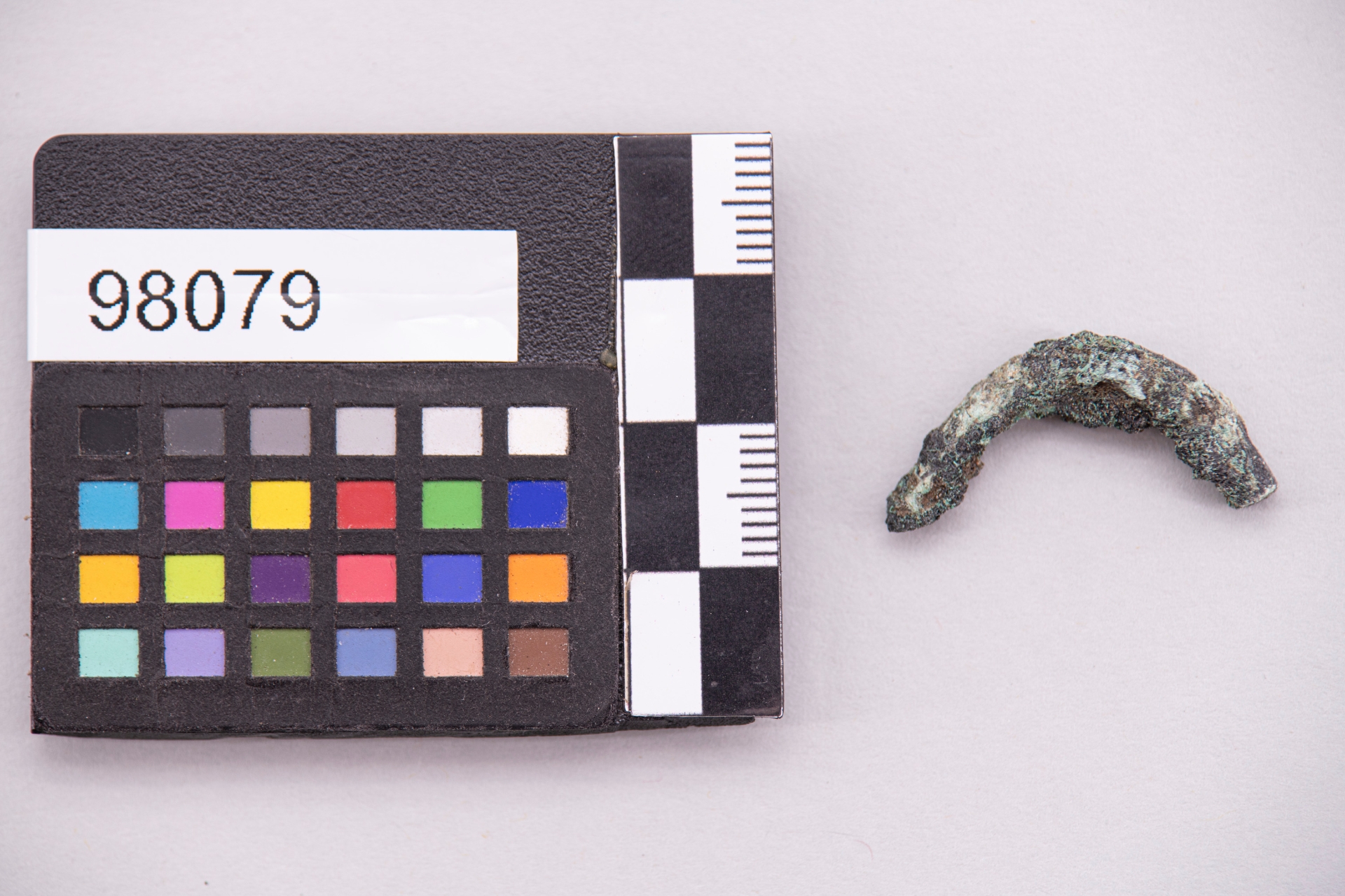 fibula/ ad arco ingrossato - ampiamente diffuso (sec. VI a.C)