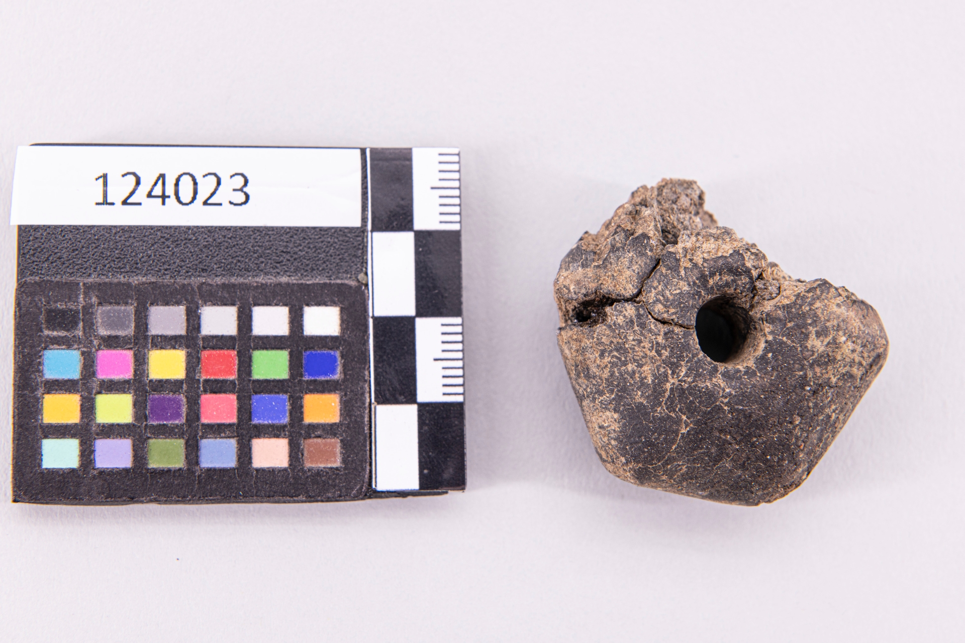 fuseruola - ampiamente diffuso (sec. VII a.C)