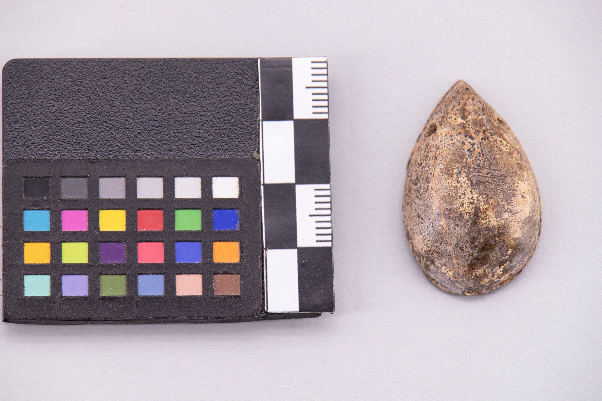 pendente (sec. VI a.C)