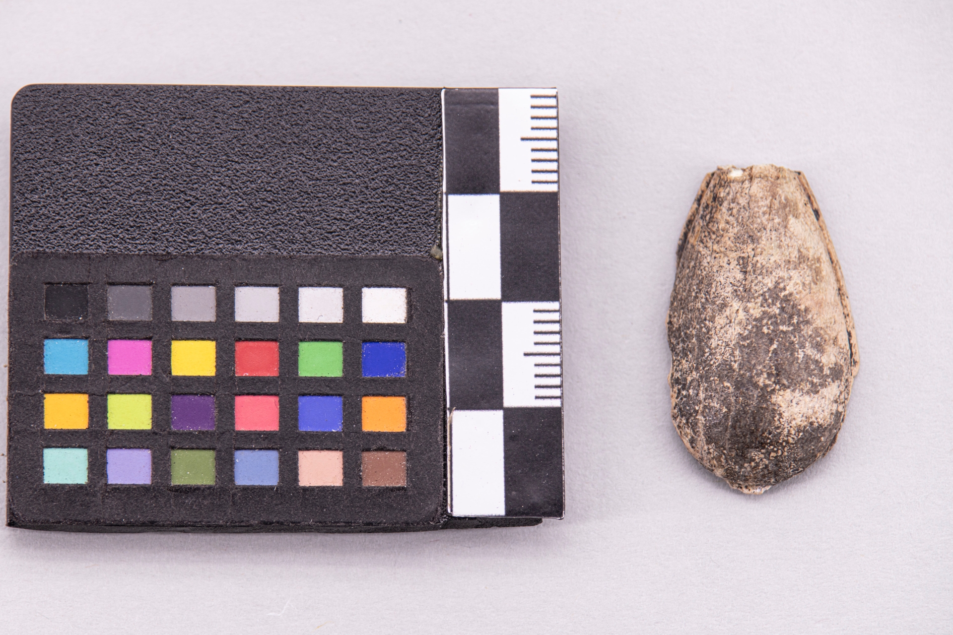 pendente (sec. VI a.C)