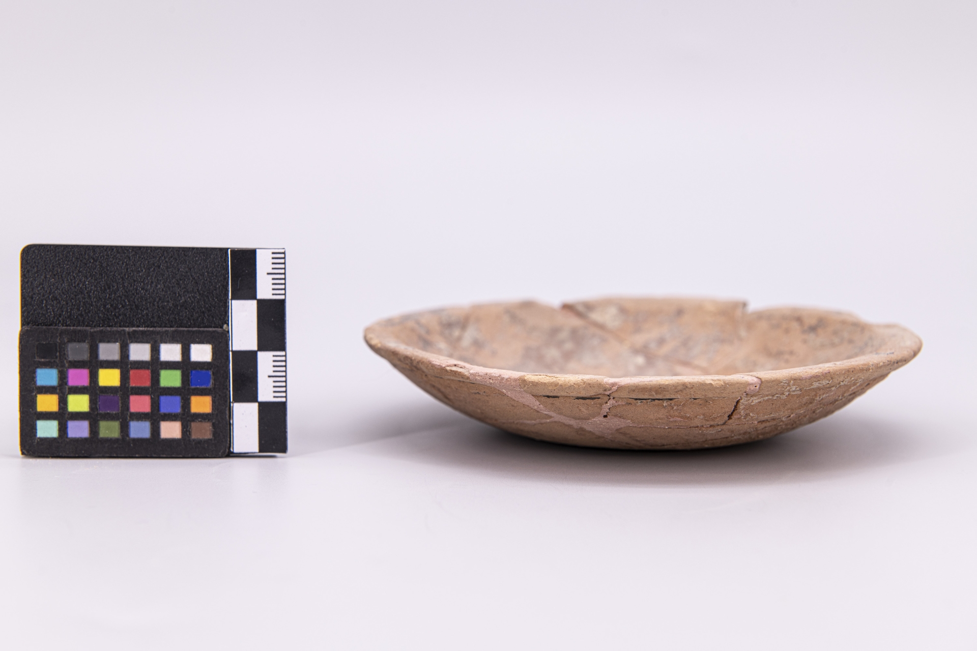 phiale mesomphalica - ambito pestano (sec. IV a.C)