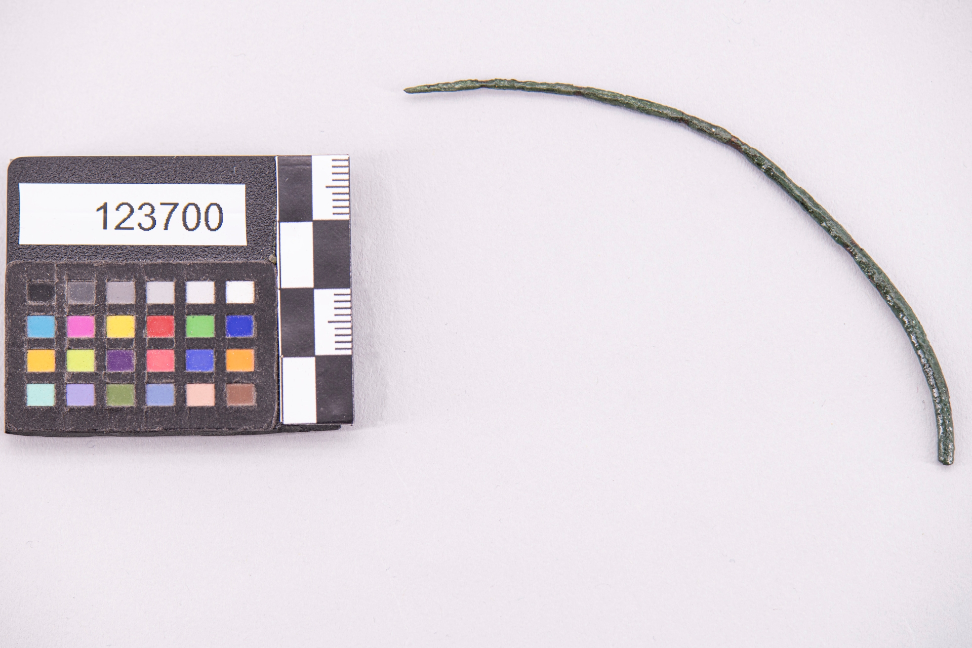 ACCESSORI/ ardiglione (sec. VII a.C)