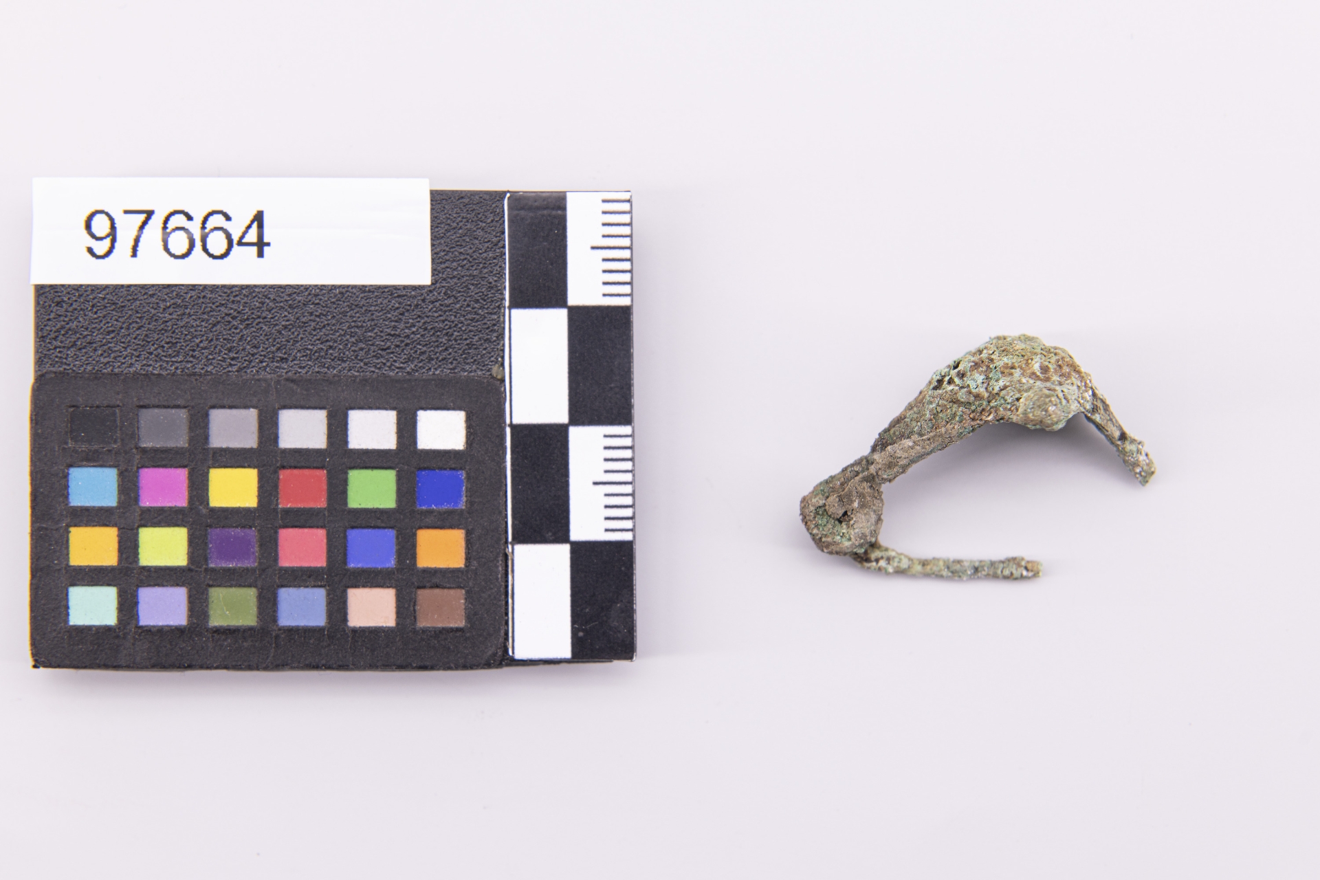 fibula (sec. VII a.C)