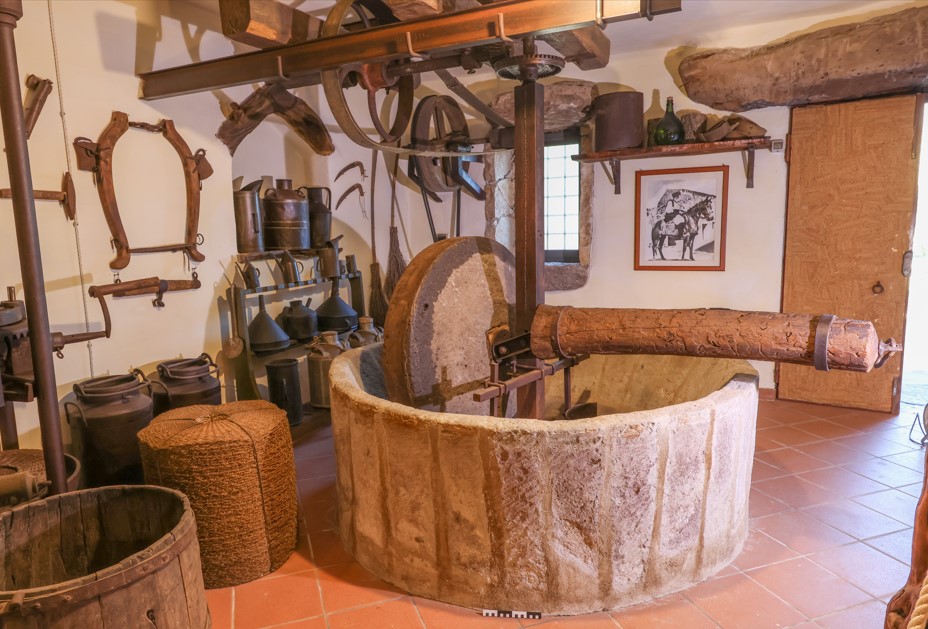 sa mola de s'ulìa (mola, da macina, STRUMENTI E ACCESSORI/ ARTIGIANALI)