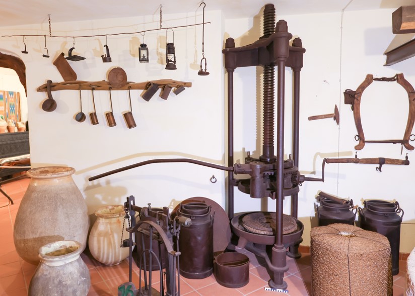 pressa (pressa, STRUMENTI E ACCESSORI/ AGRO-SILVO-PASTORALI)